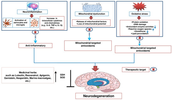 Natural Bioactive Molecules as Neuromedicines for the Treatment/Prevention  of Neurodegenerative Diseases