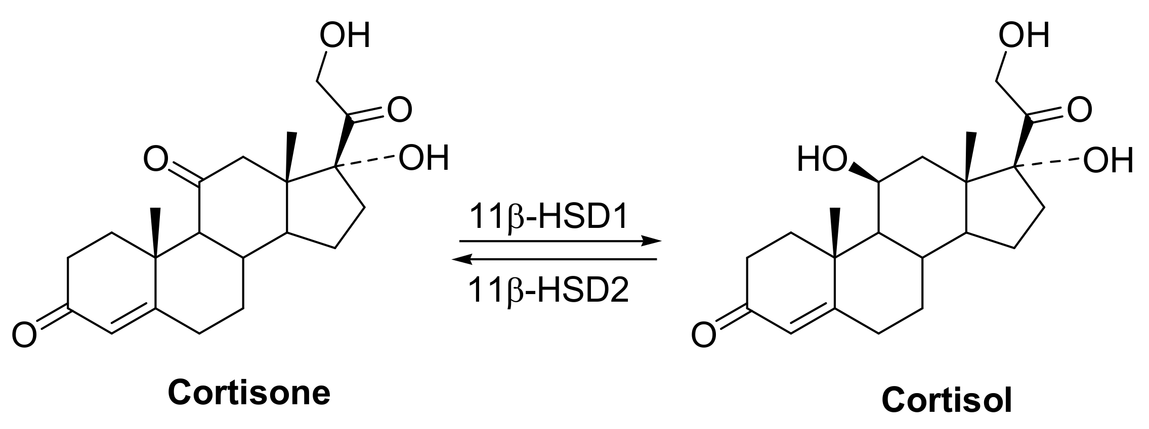 Molecules 26 05335 g002