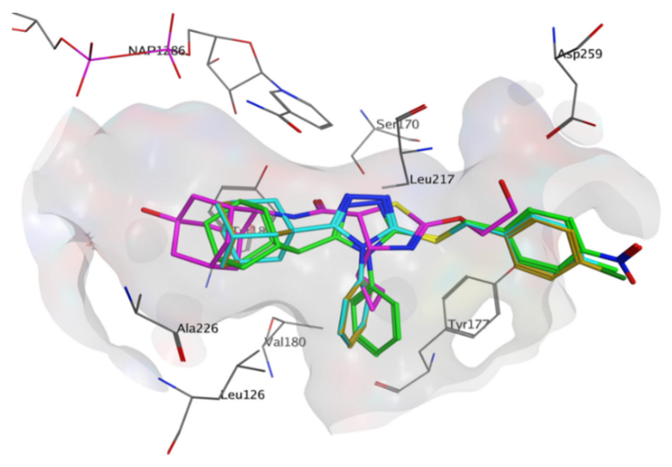 Molecules 26 05335 g010