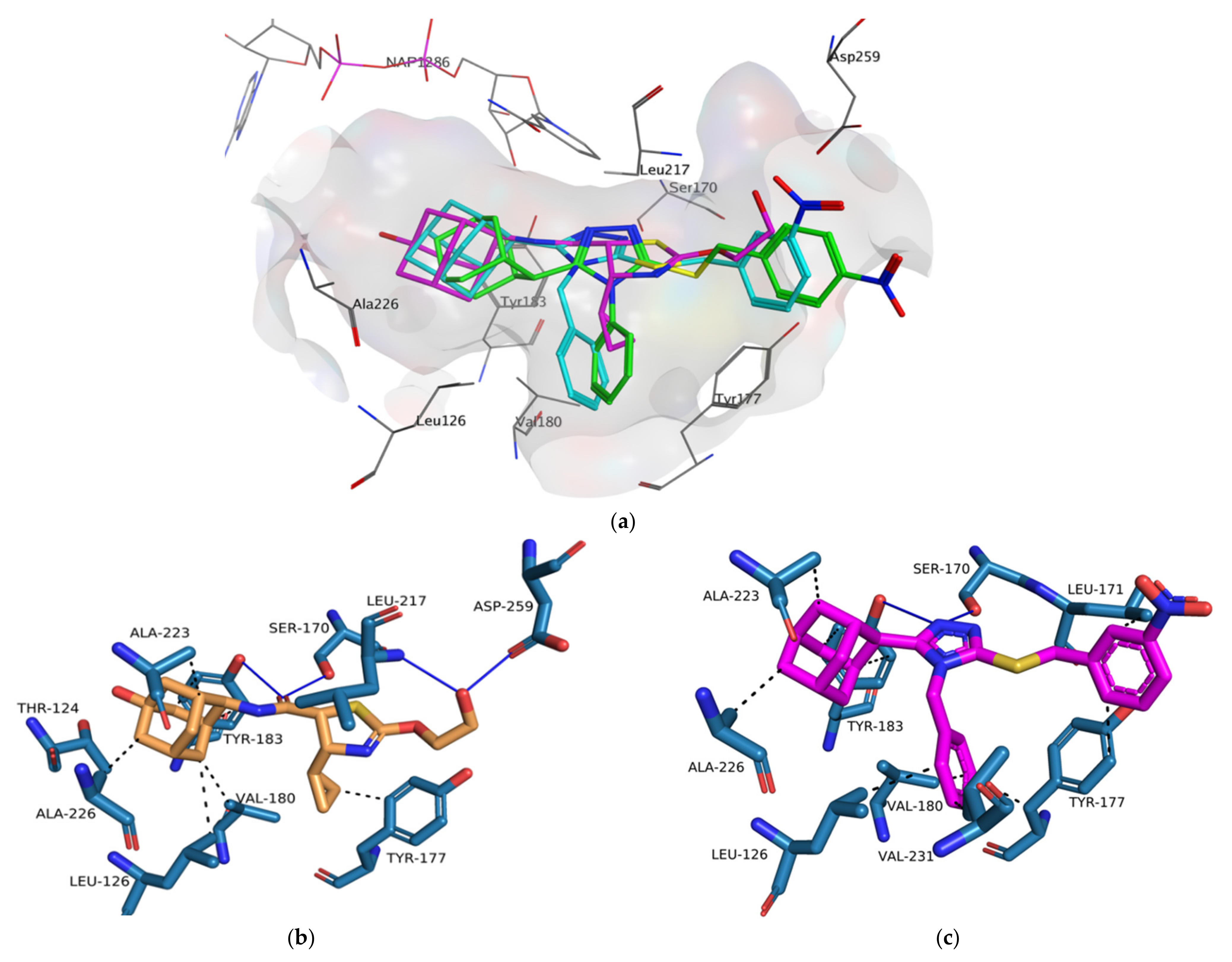 Molecules 26 05335 g013a
