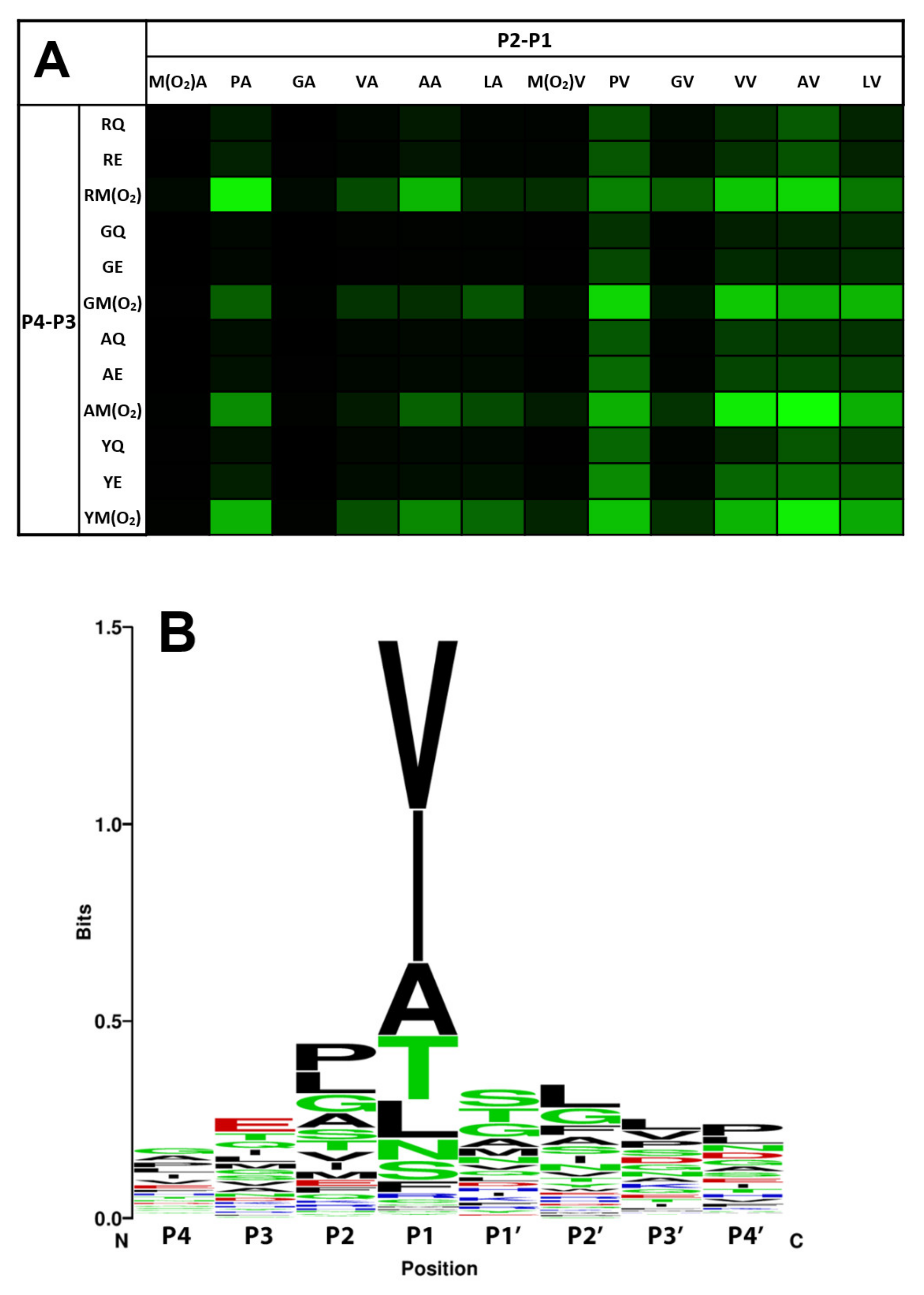 Molecules 26 05344 g001