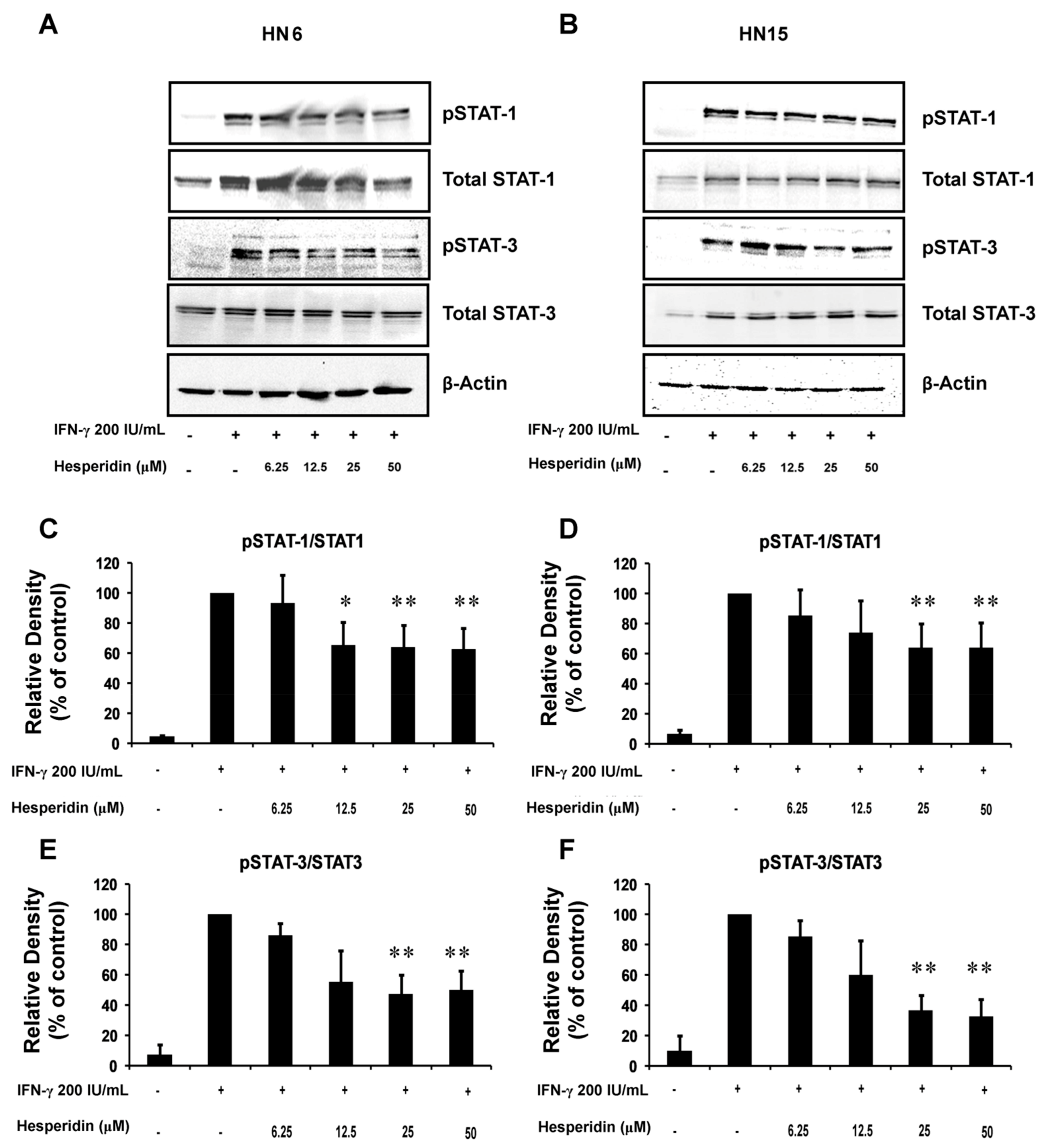 Molecules 26 05345 g007