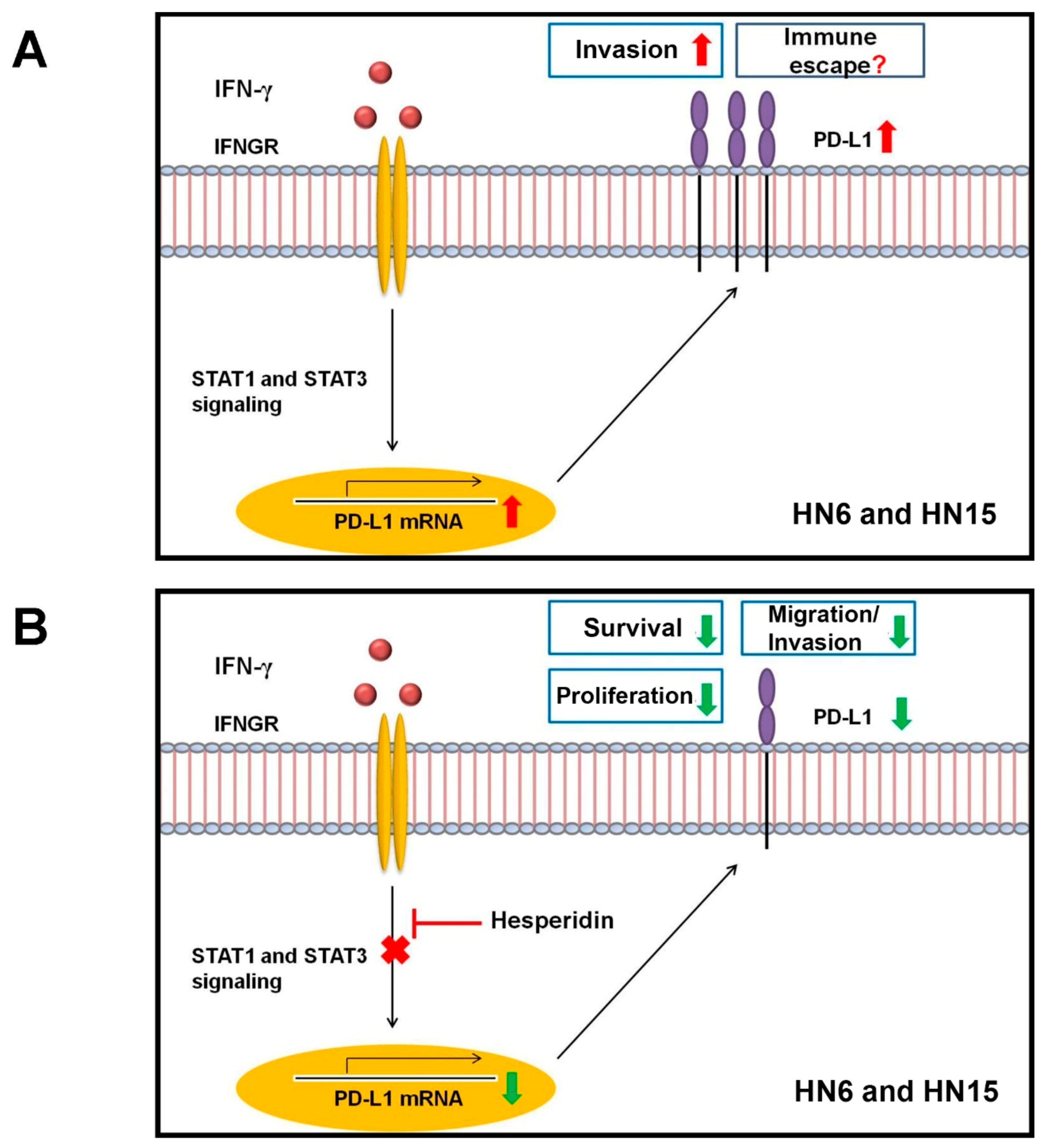 Molecules 26 05345 g008