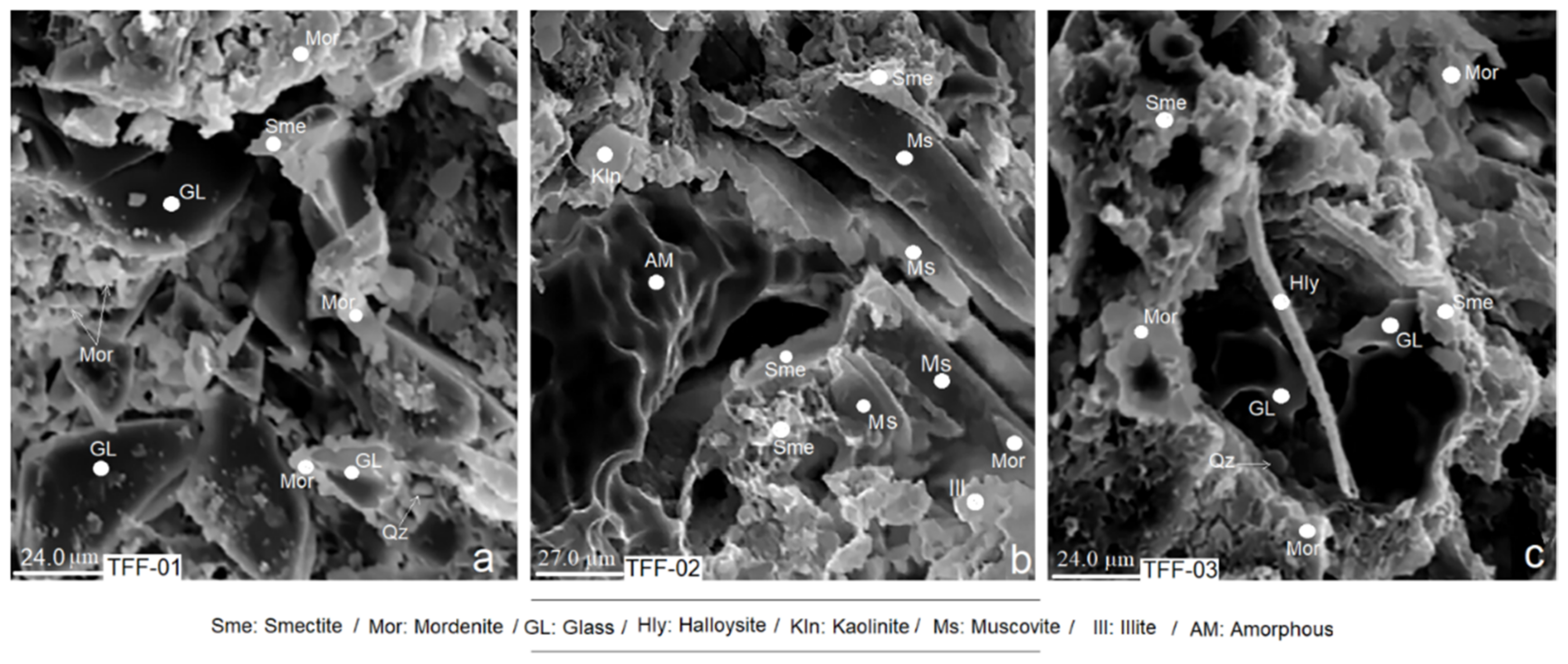Molecules 26 05348 g003