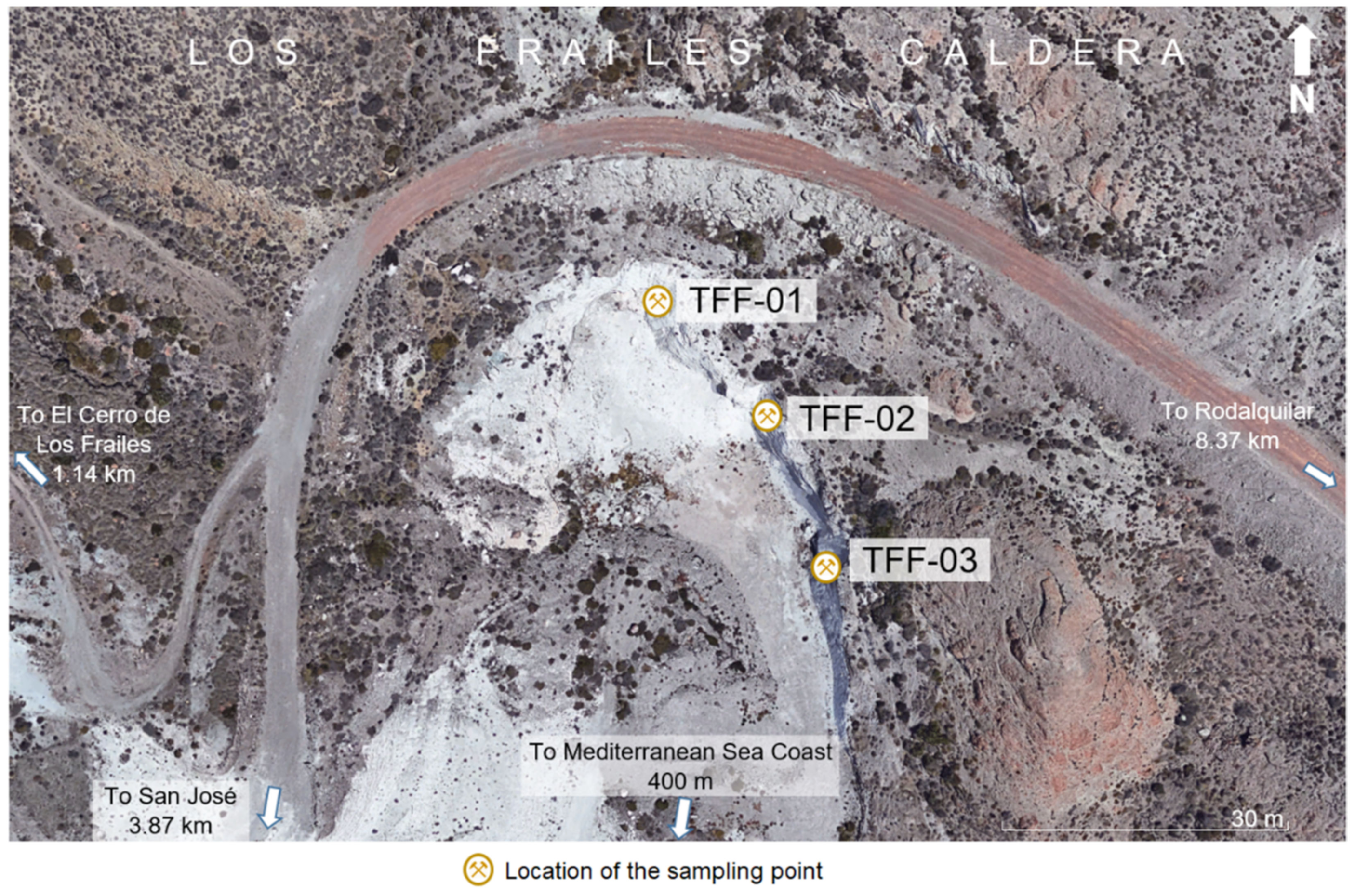 Molecules 26 05348 g009