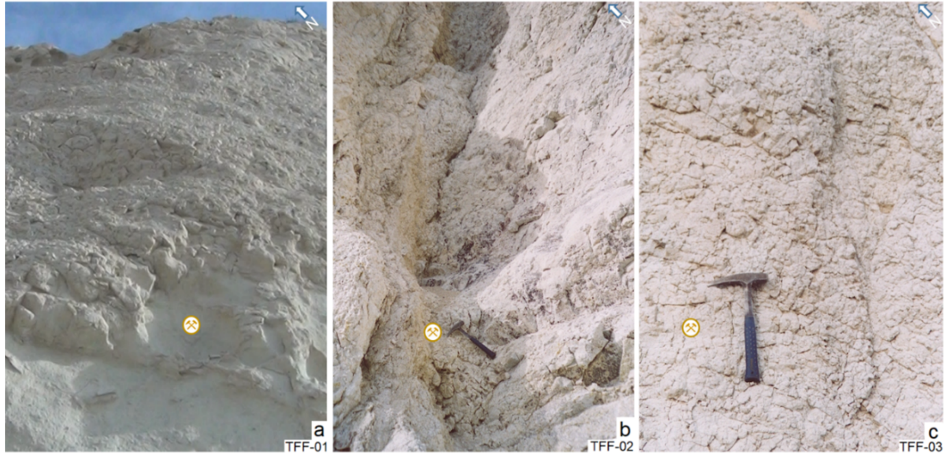 Molecules 26 05348 g010