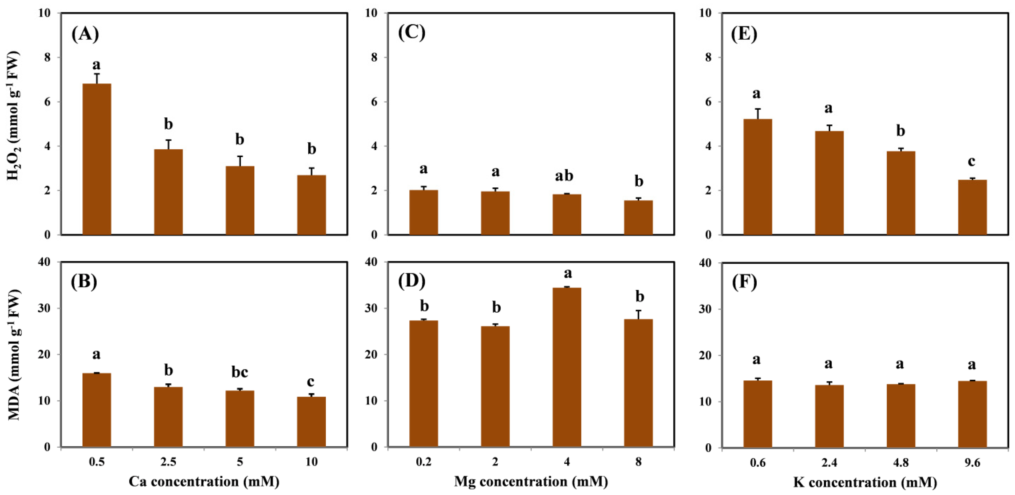 Molecules 26 05356 g003 550