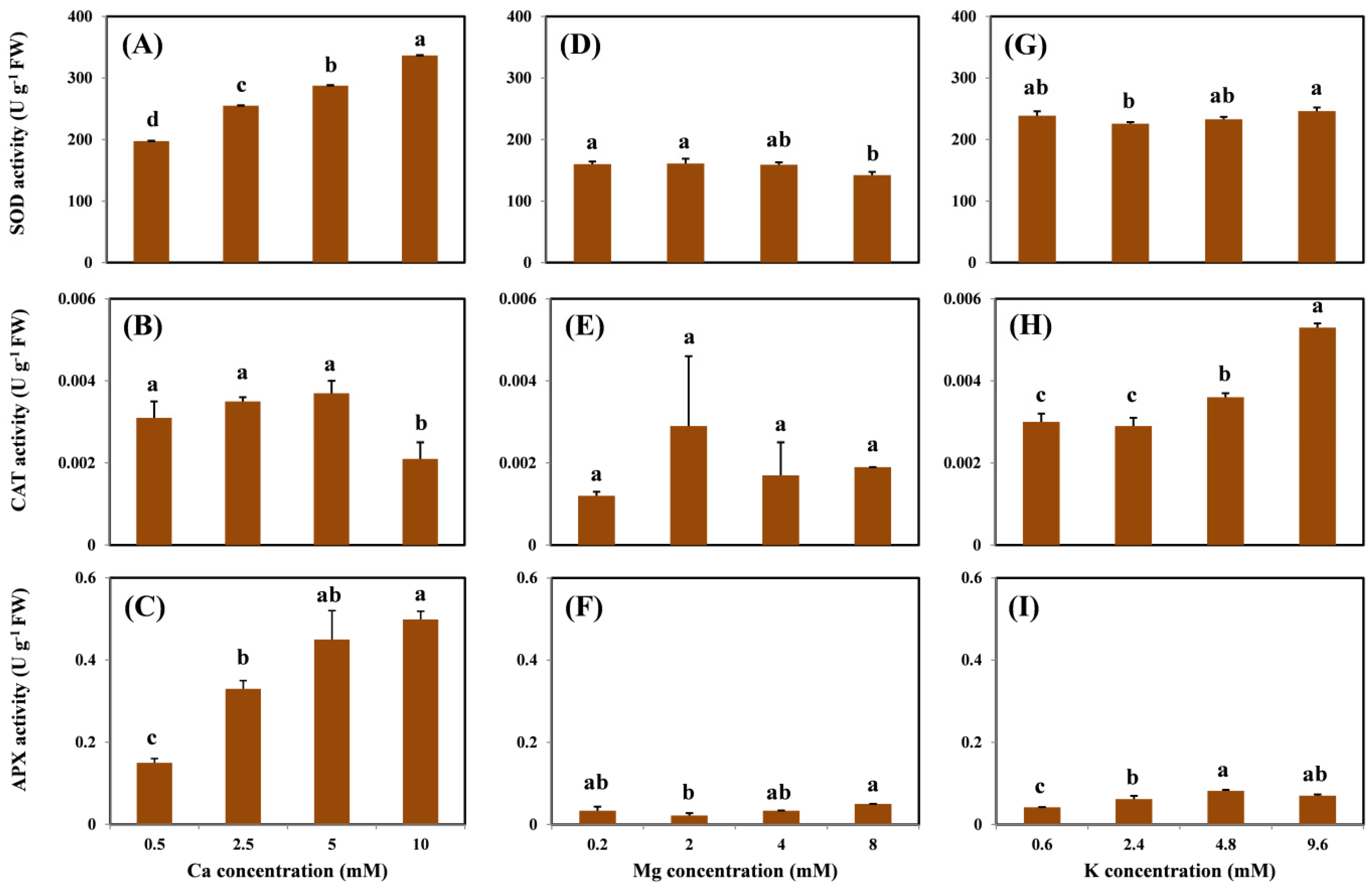 Molecules 26 05356 g004 550