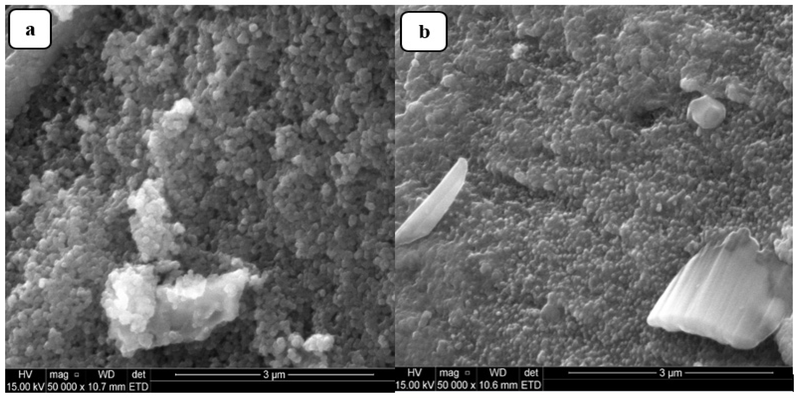 Molecules 26 05357 g004 Molecules 26 05357 g004