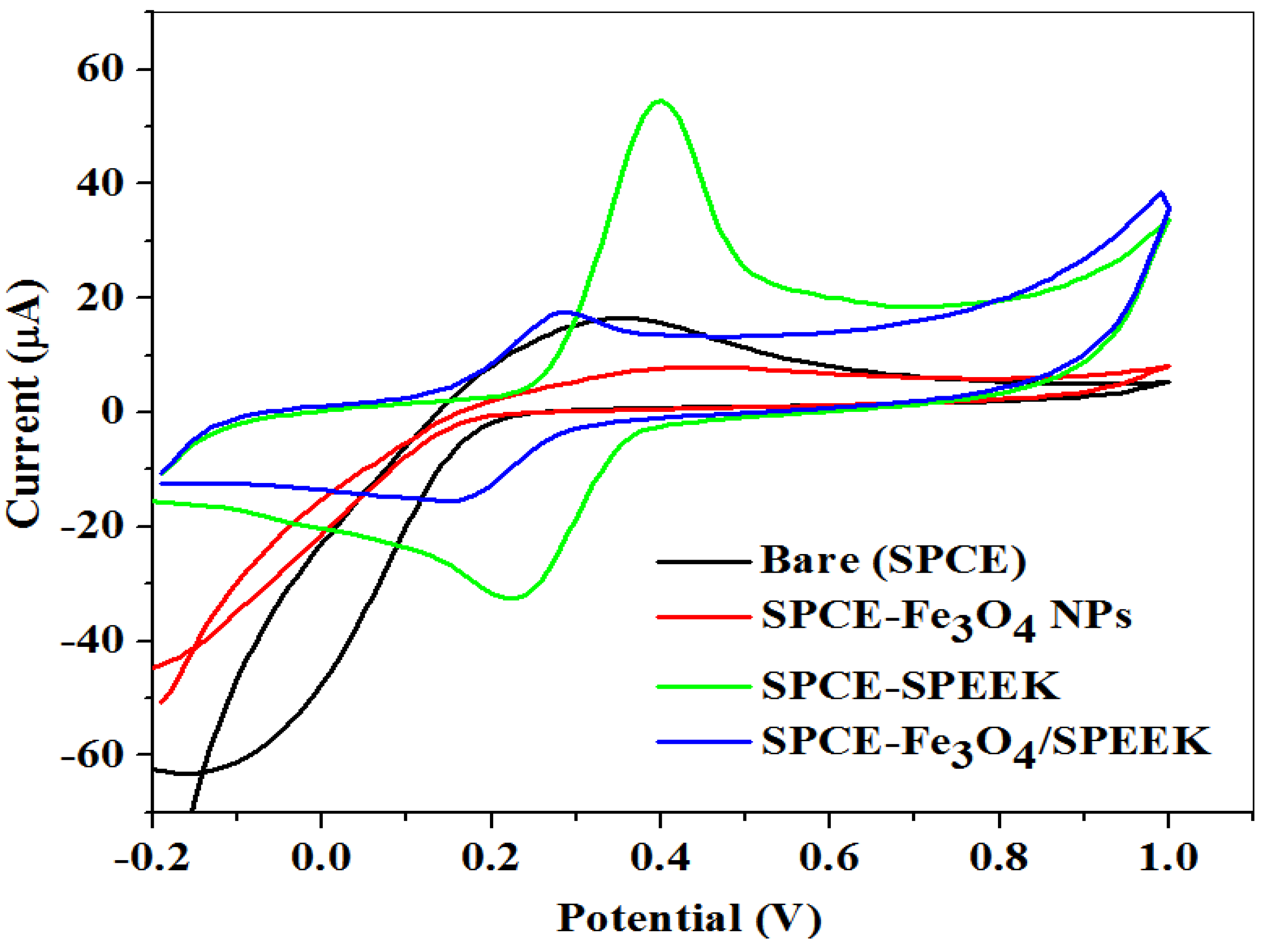 Molecules 26 05357 g005 Molecules 26 05357 g005