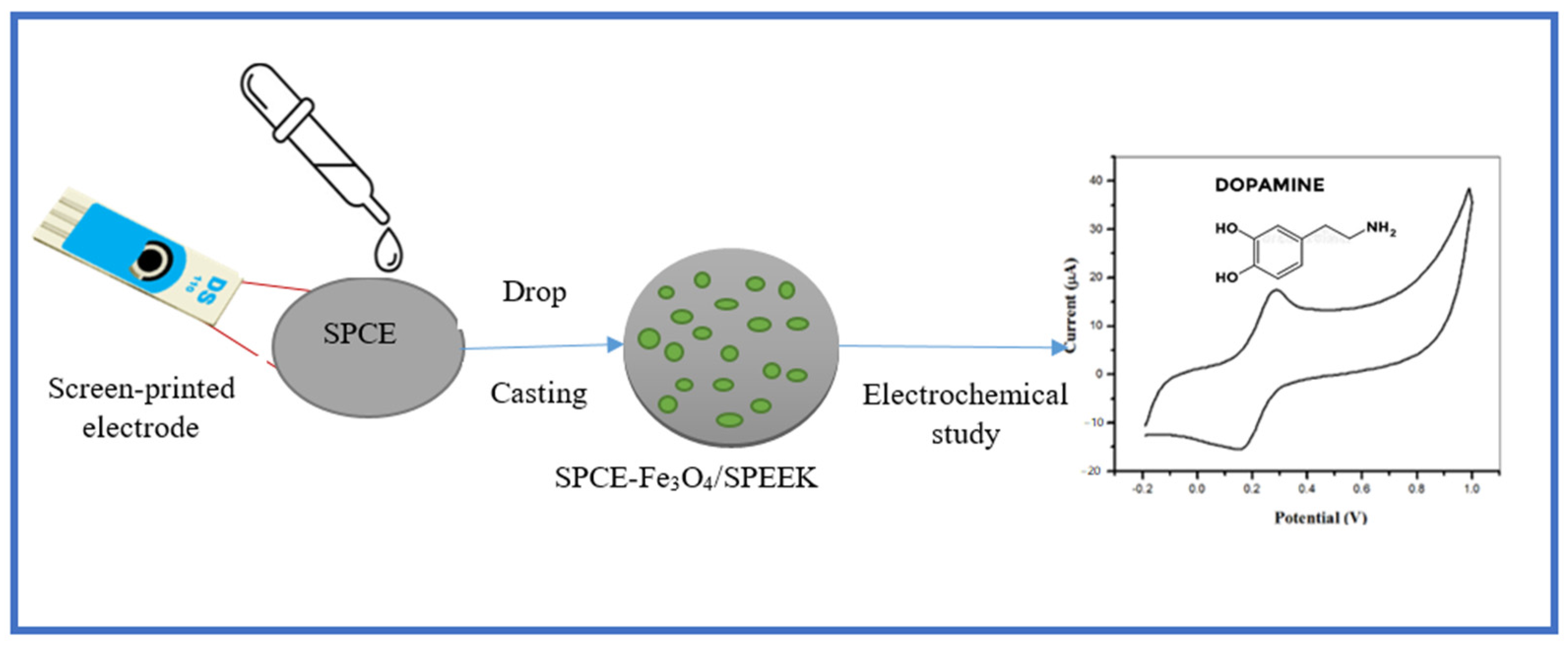 Molecules 26 05357 g008 Molecules 26 05357 g008