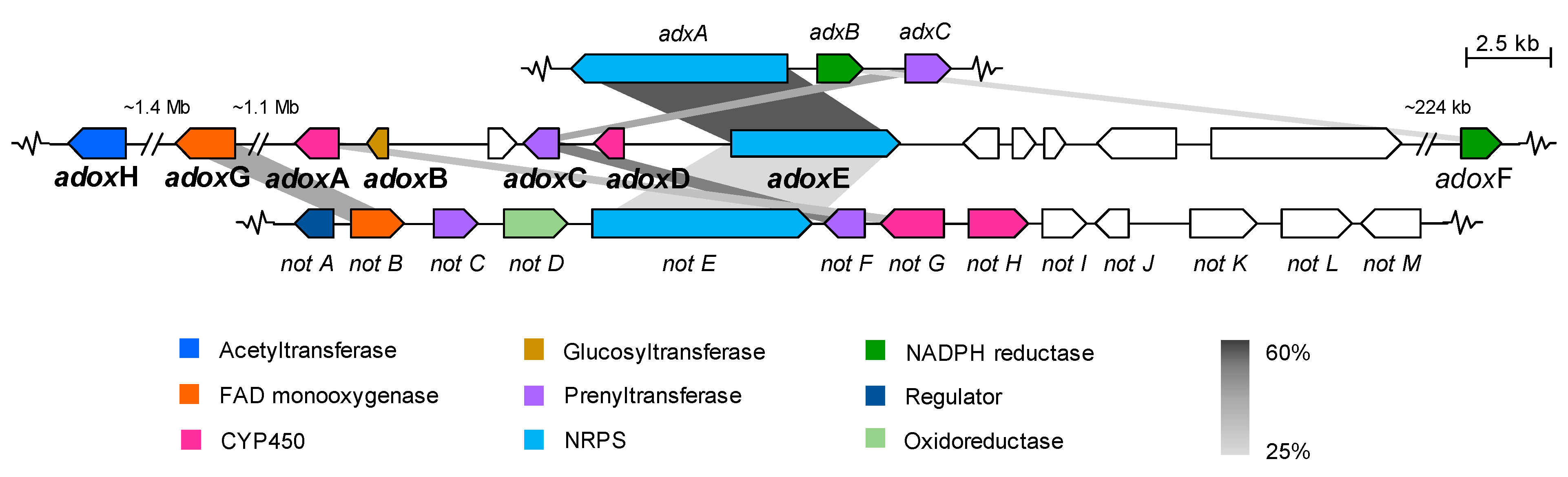 Molecules 26 05362 g003 550