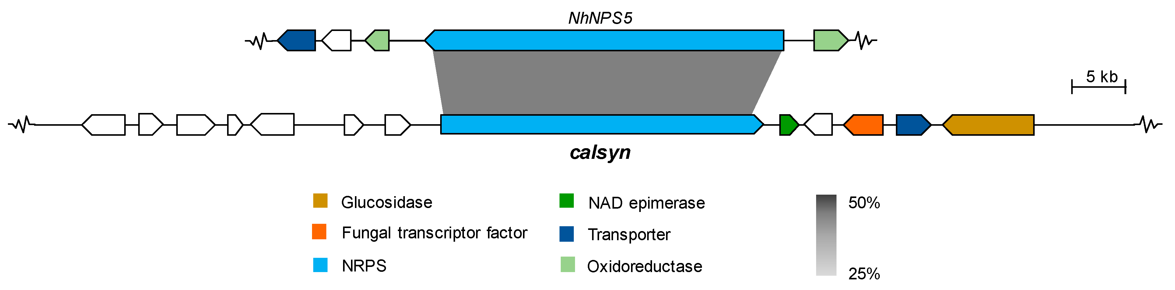 Molecules 26 05362 g005 550