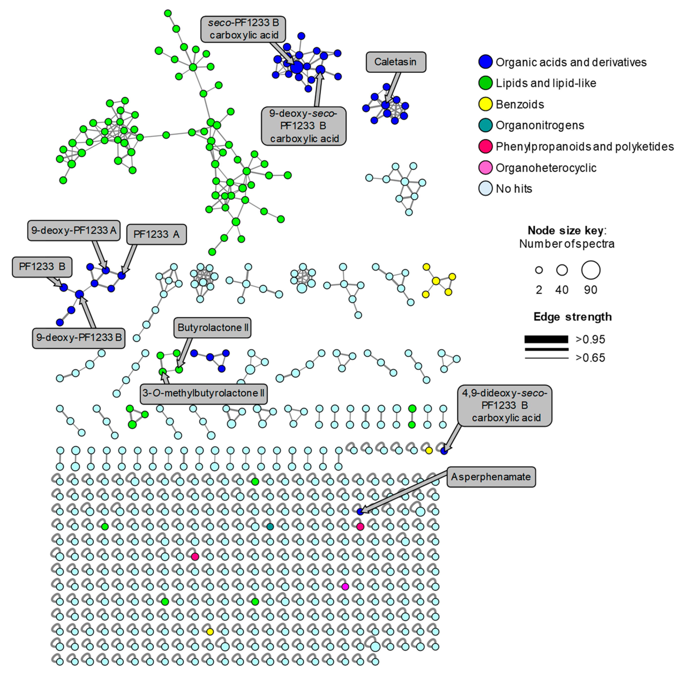 Molecules 26 05362 g007 550