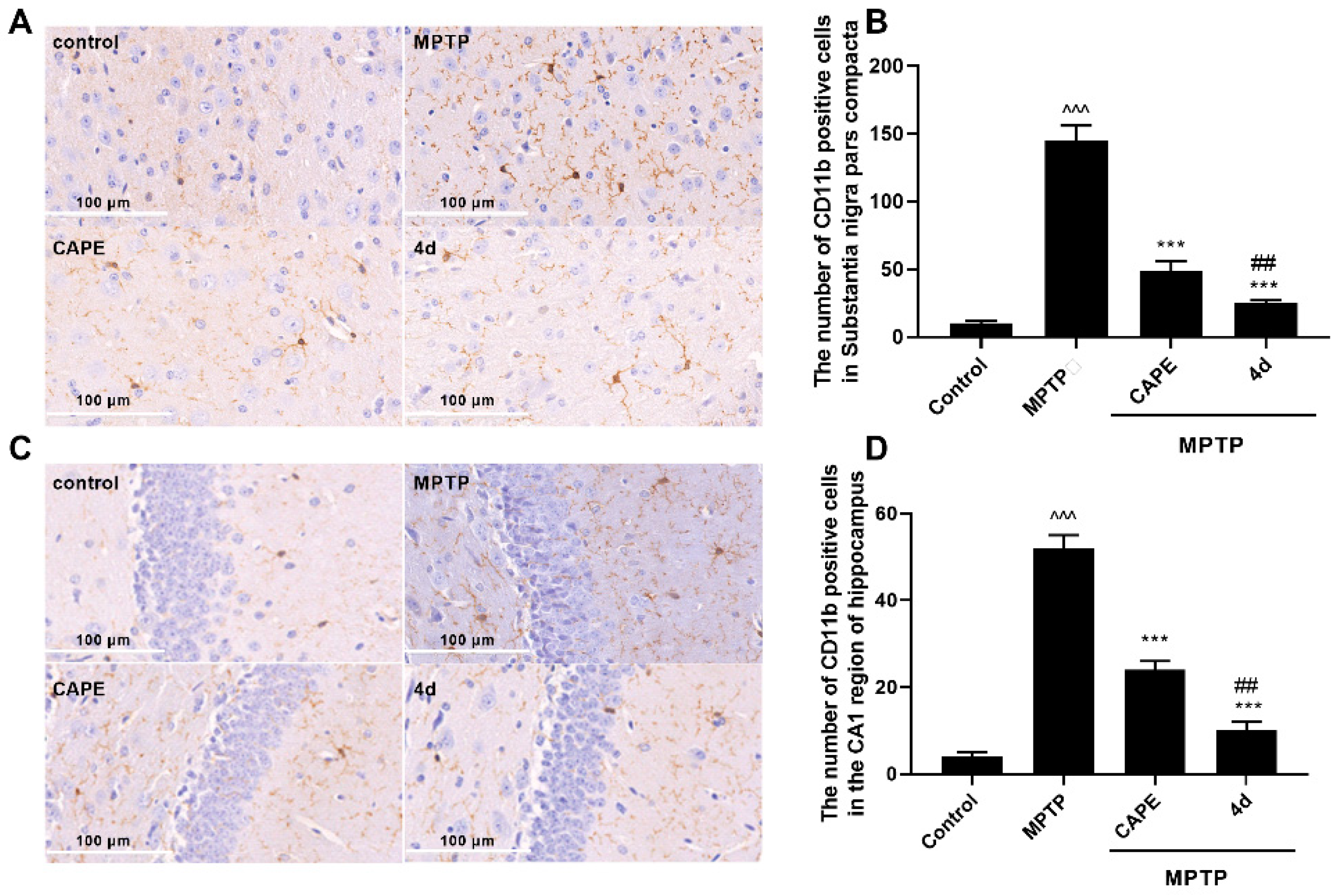 Molecules 26 05371 g005 550