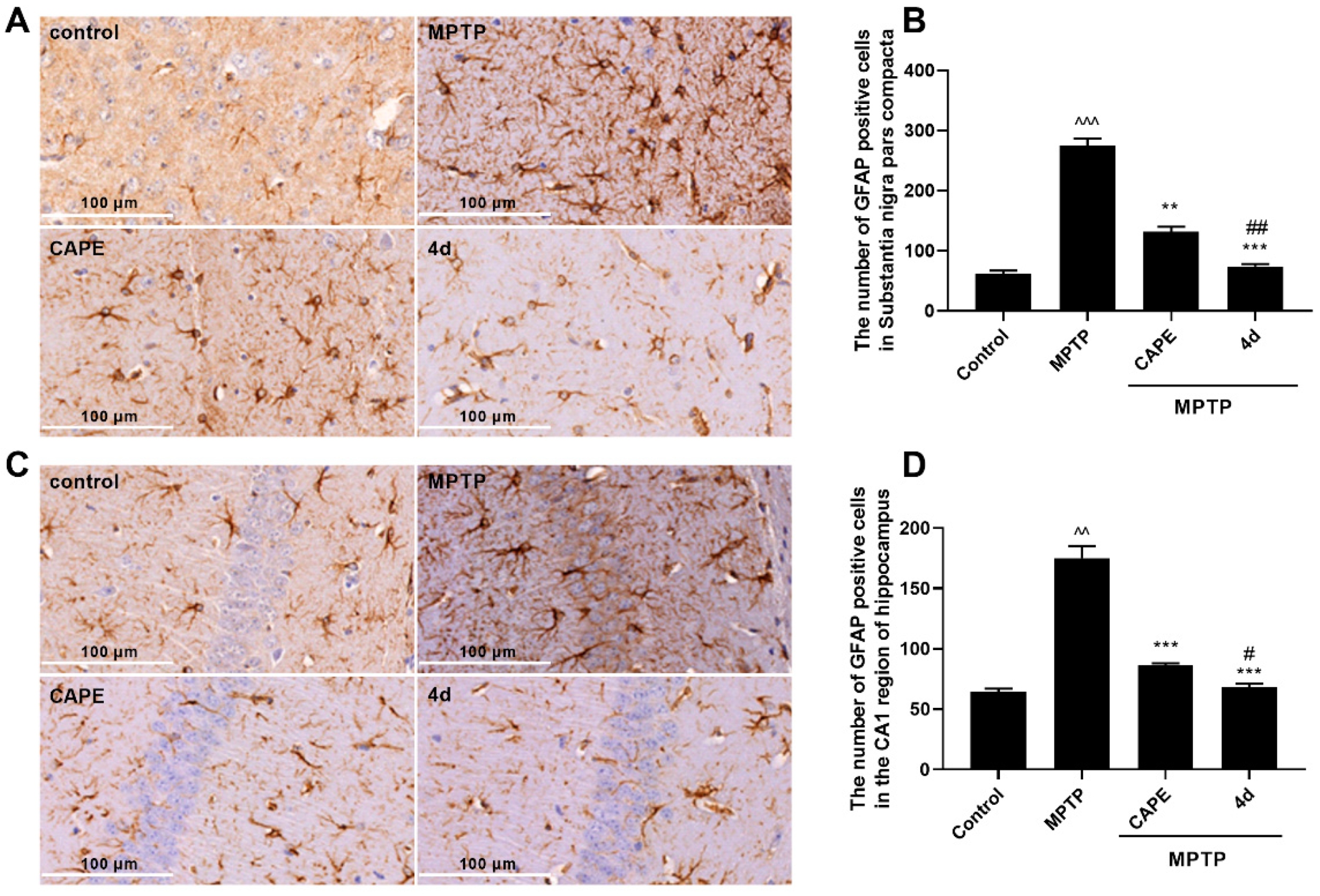Molecules 26 05371 g006 550