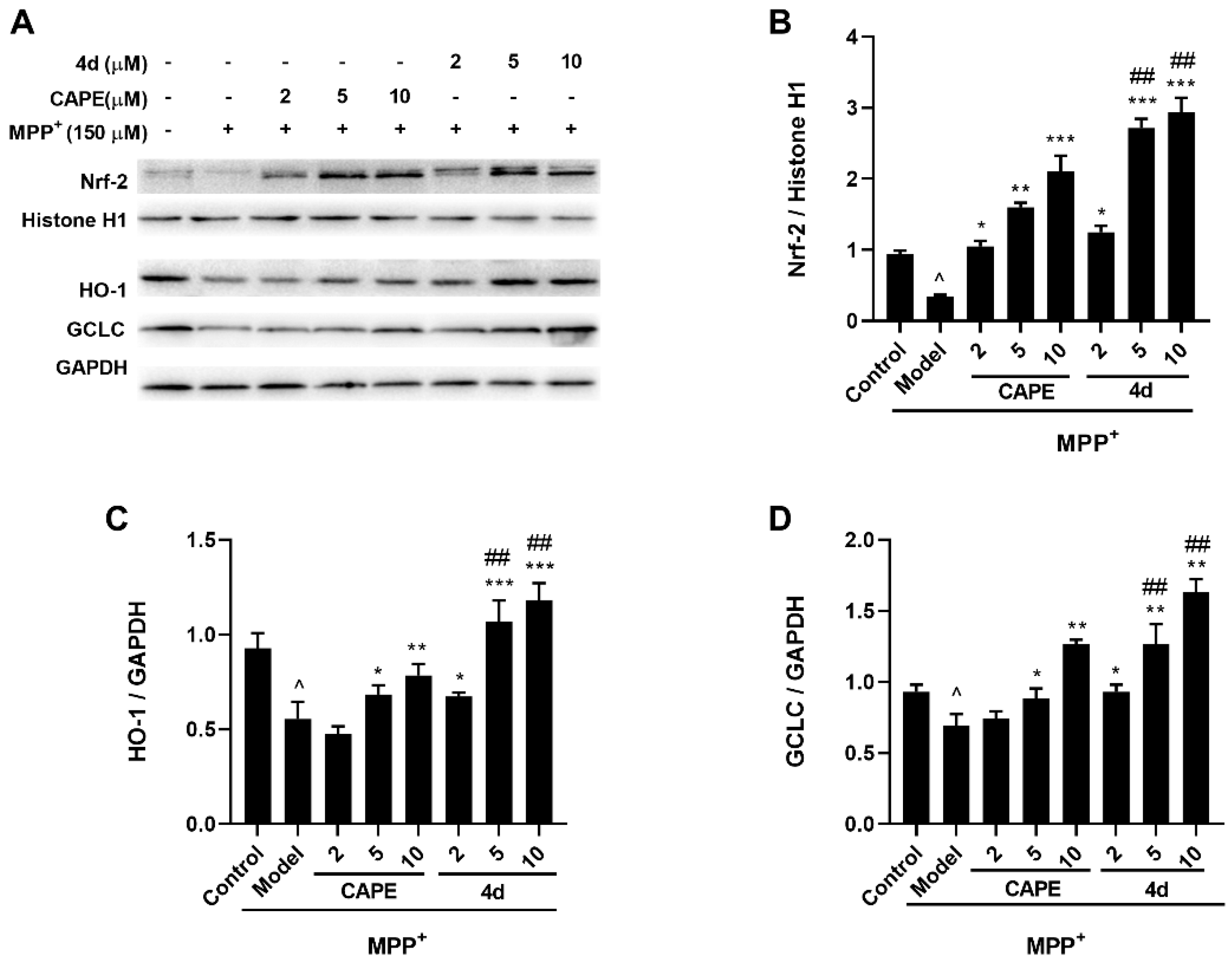 Molecules 26 05371 g008 550