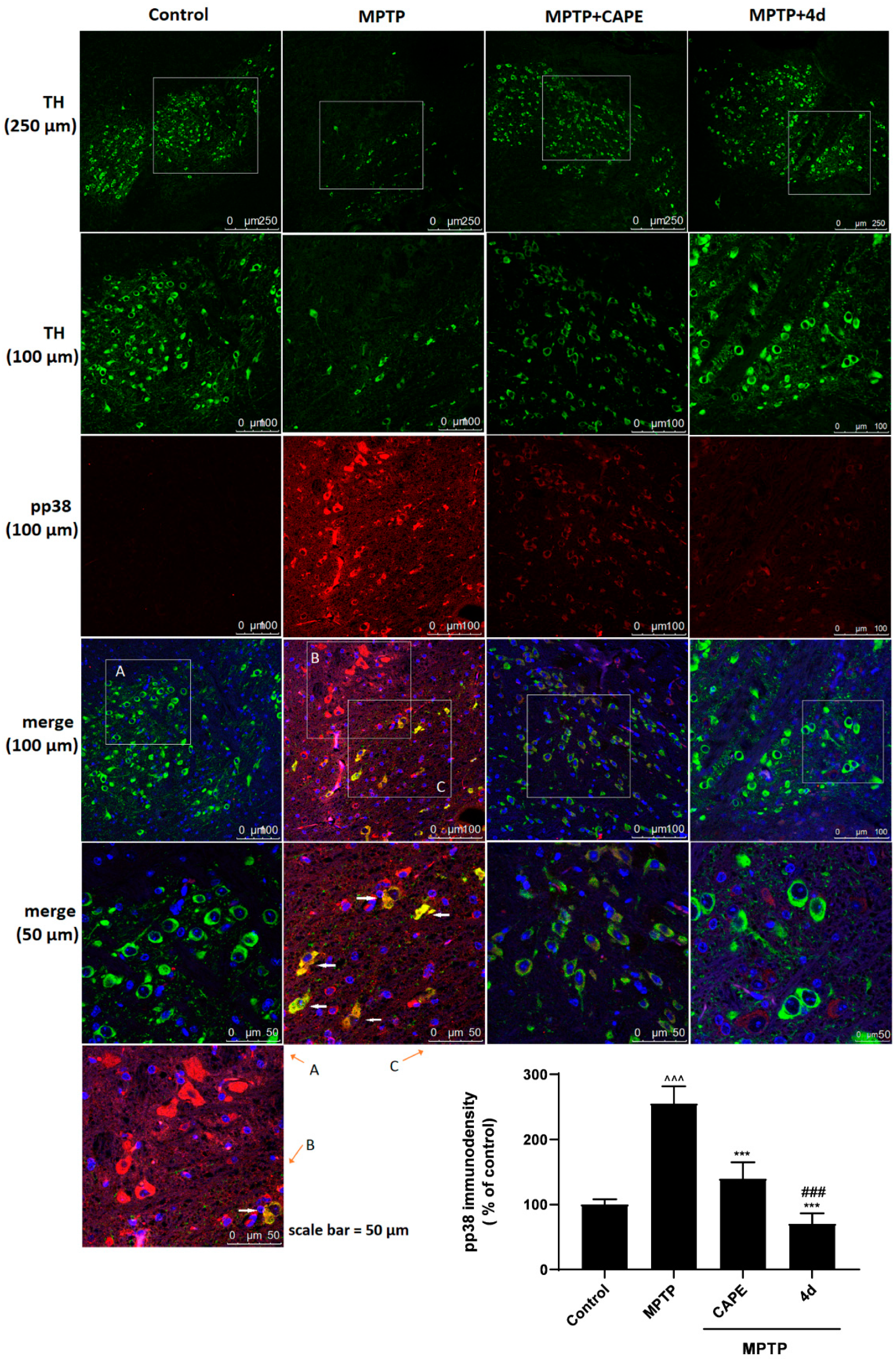 Molecules 26 05371 g009 550