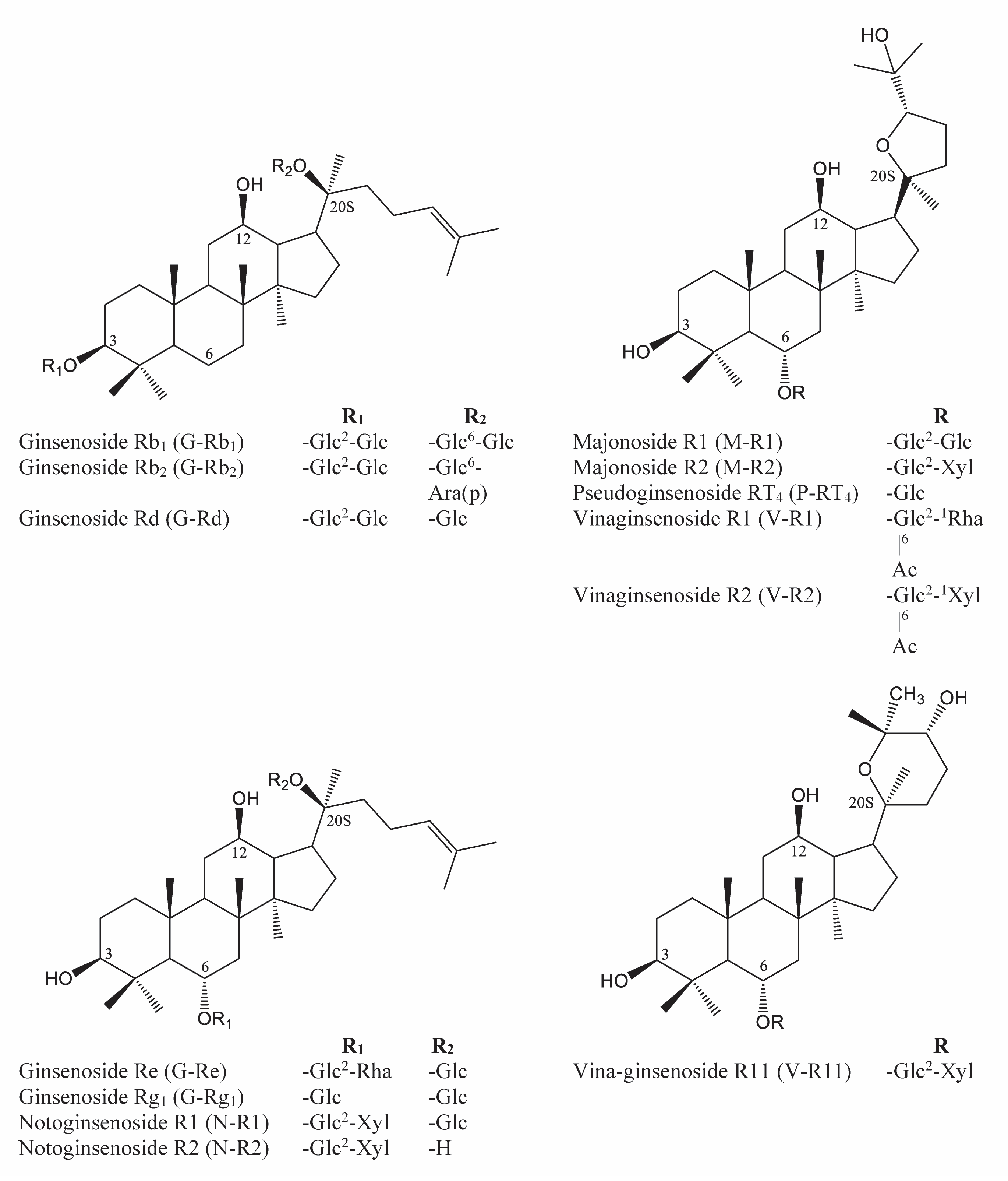 Molecules 26 05373 g001 Molecules 26 05373 g001