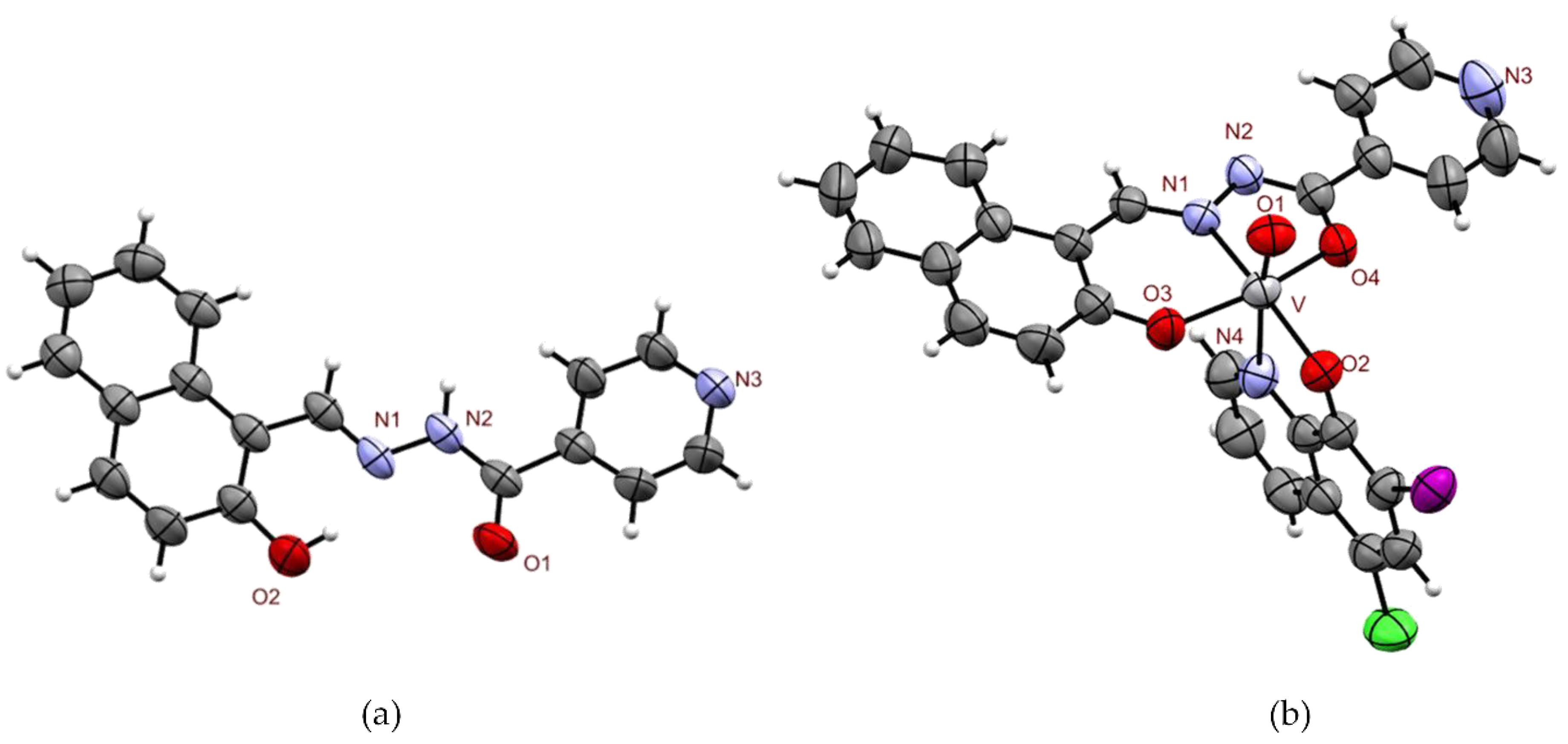 Molecules 26 05375 g002