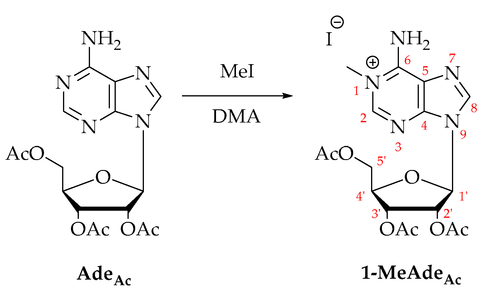 Molecules 26 05384 sch003