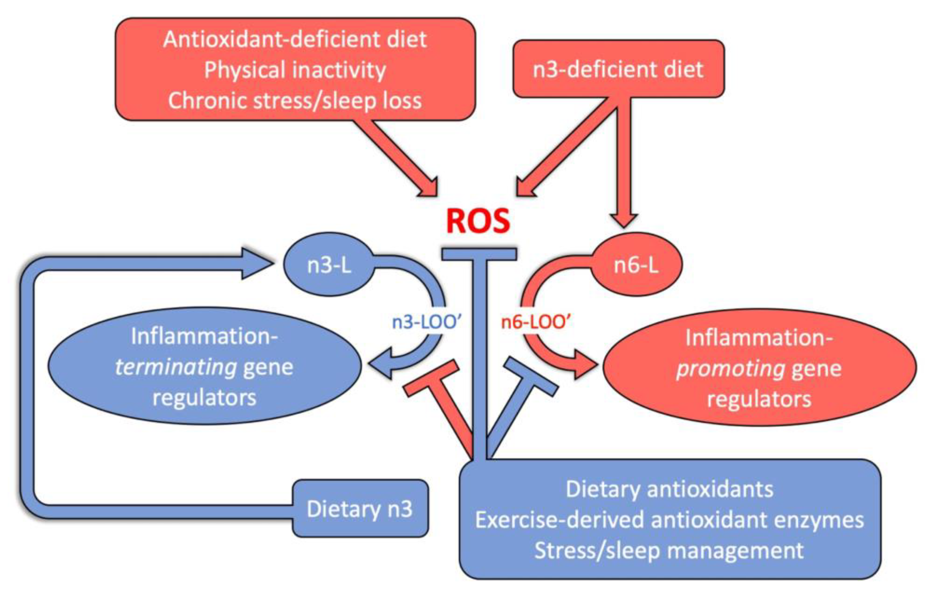 Molecules 26 05385 g004