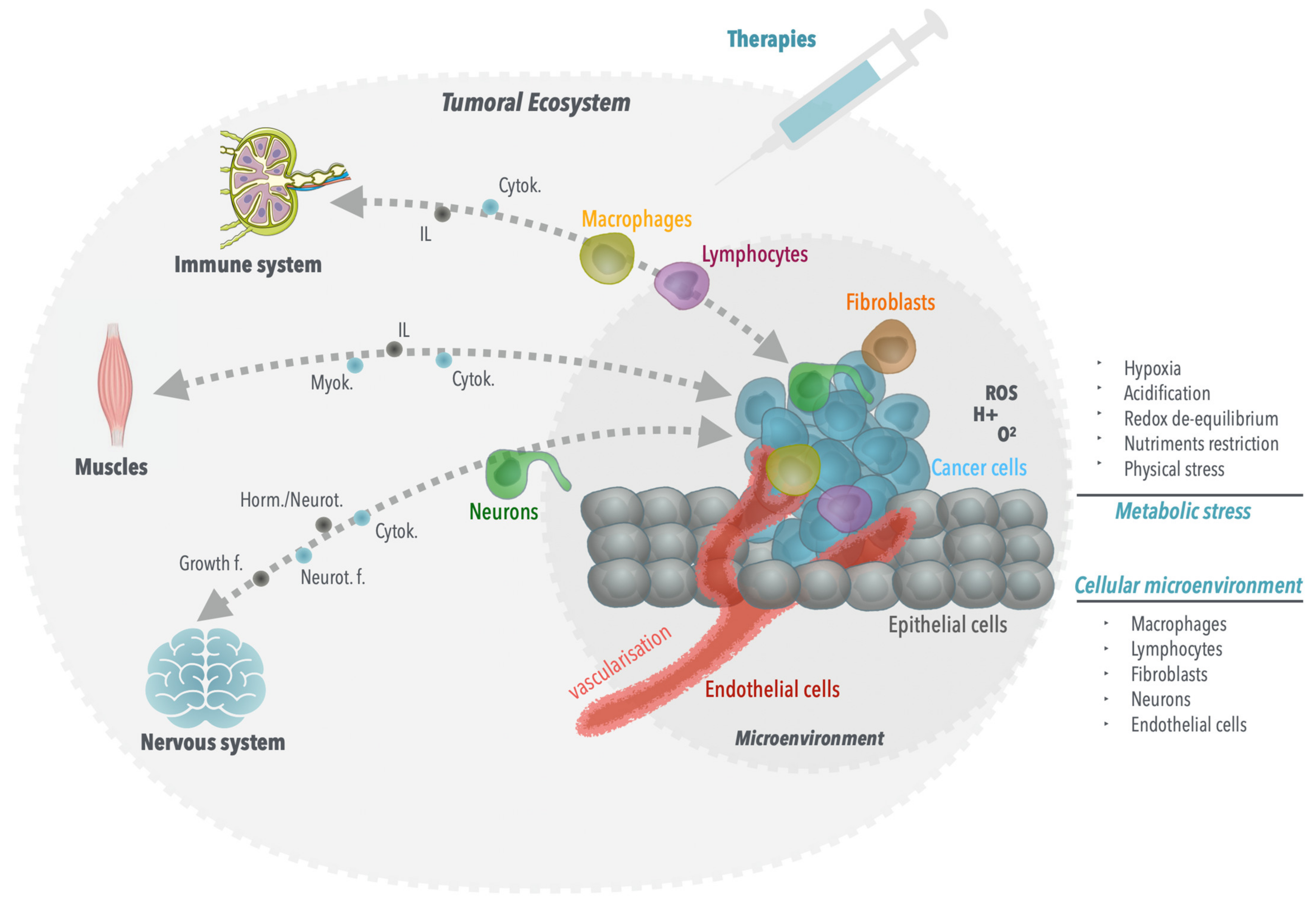 Molecules 26 05386 g001