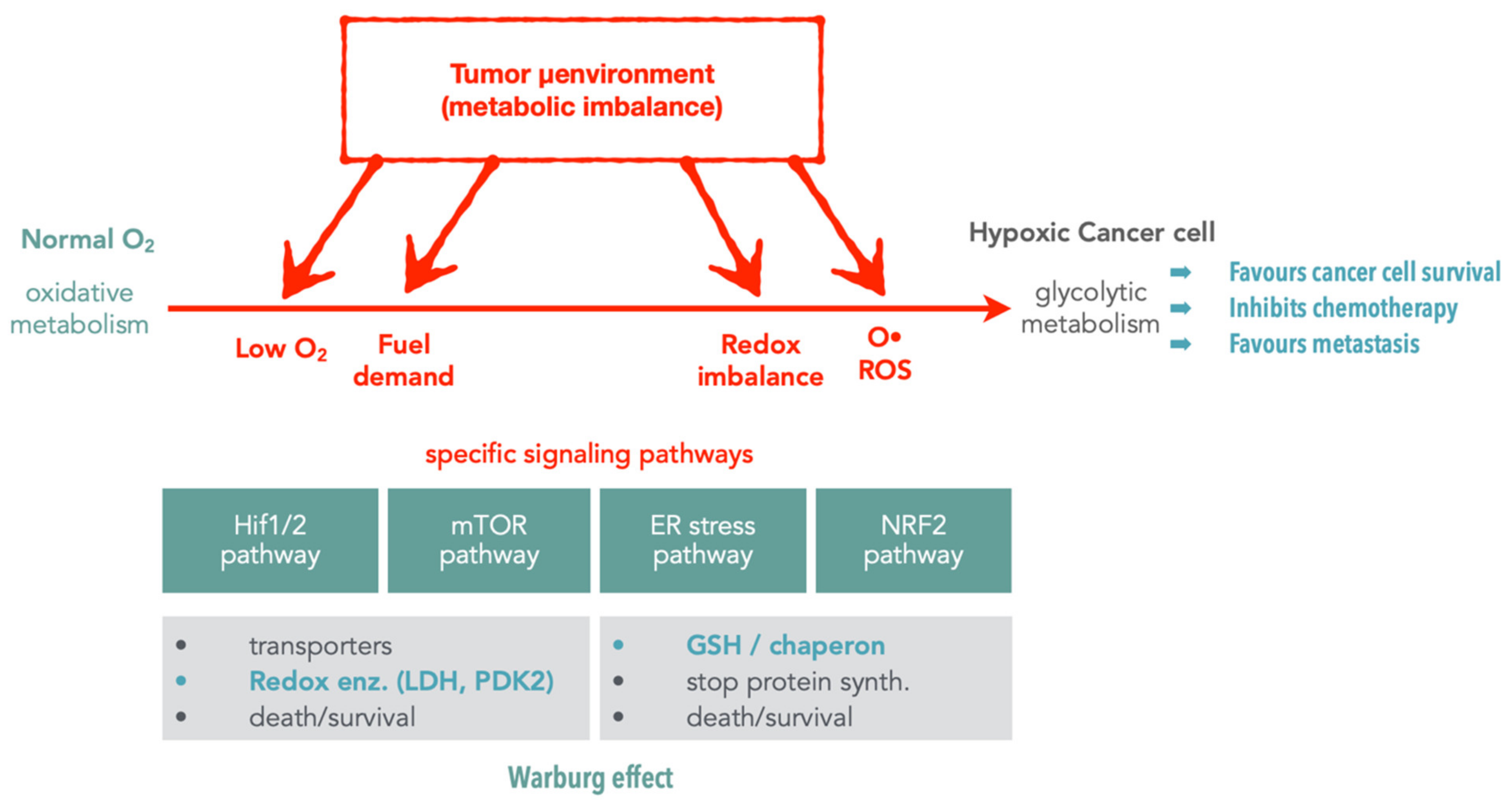 Molecules 26 05386 g002