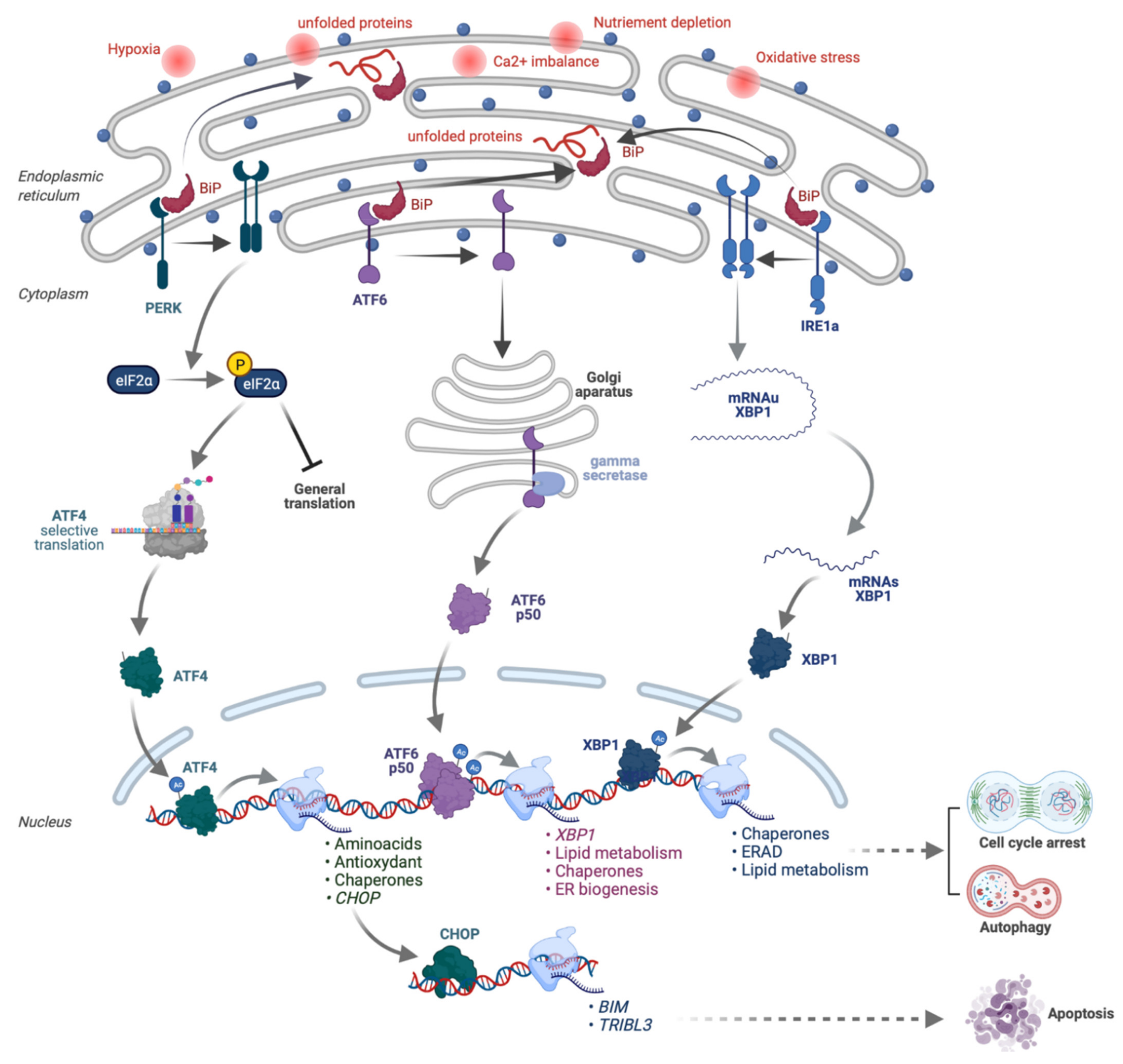 Molecules 26 05386 g004