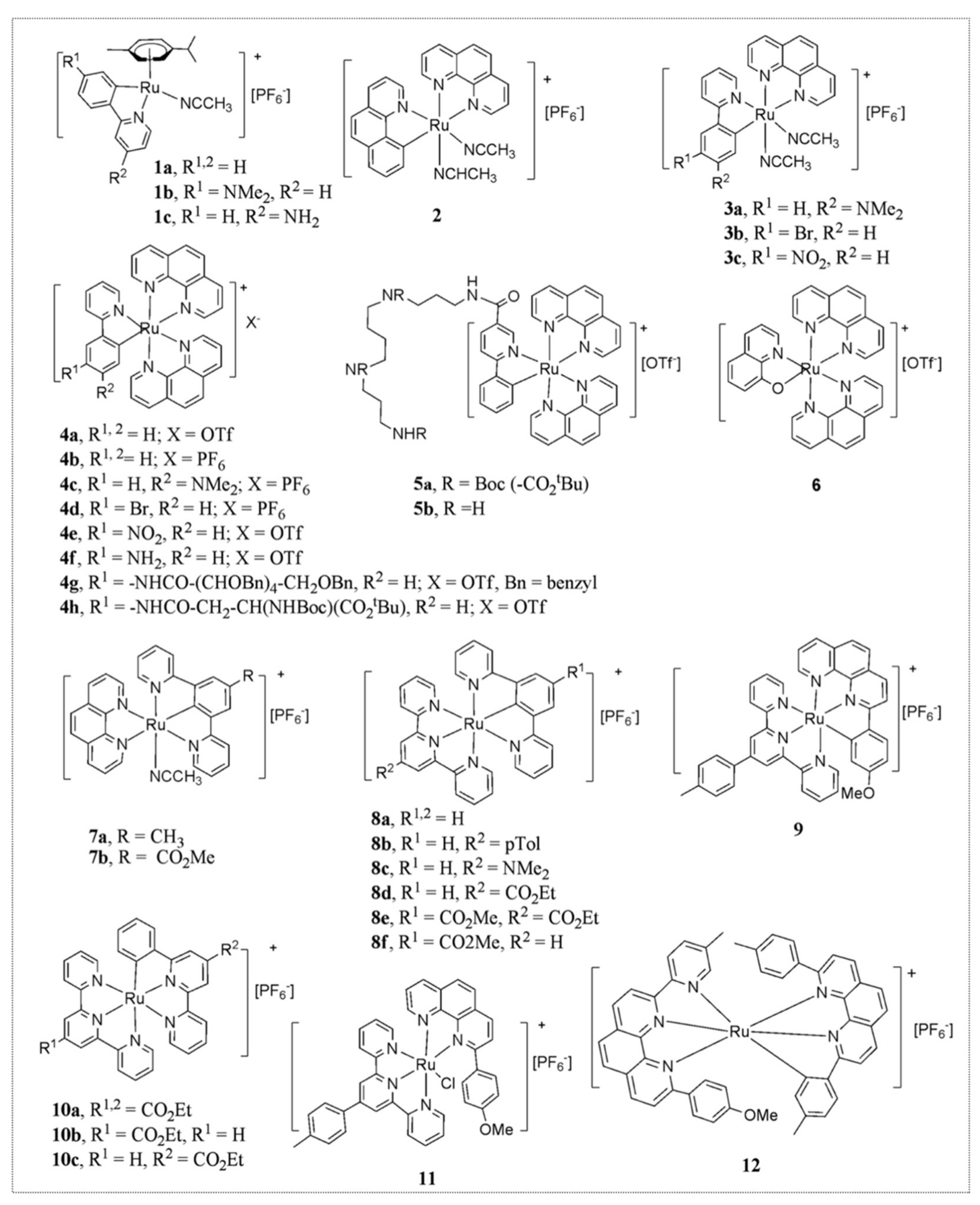 Molecules 26 05386 g005