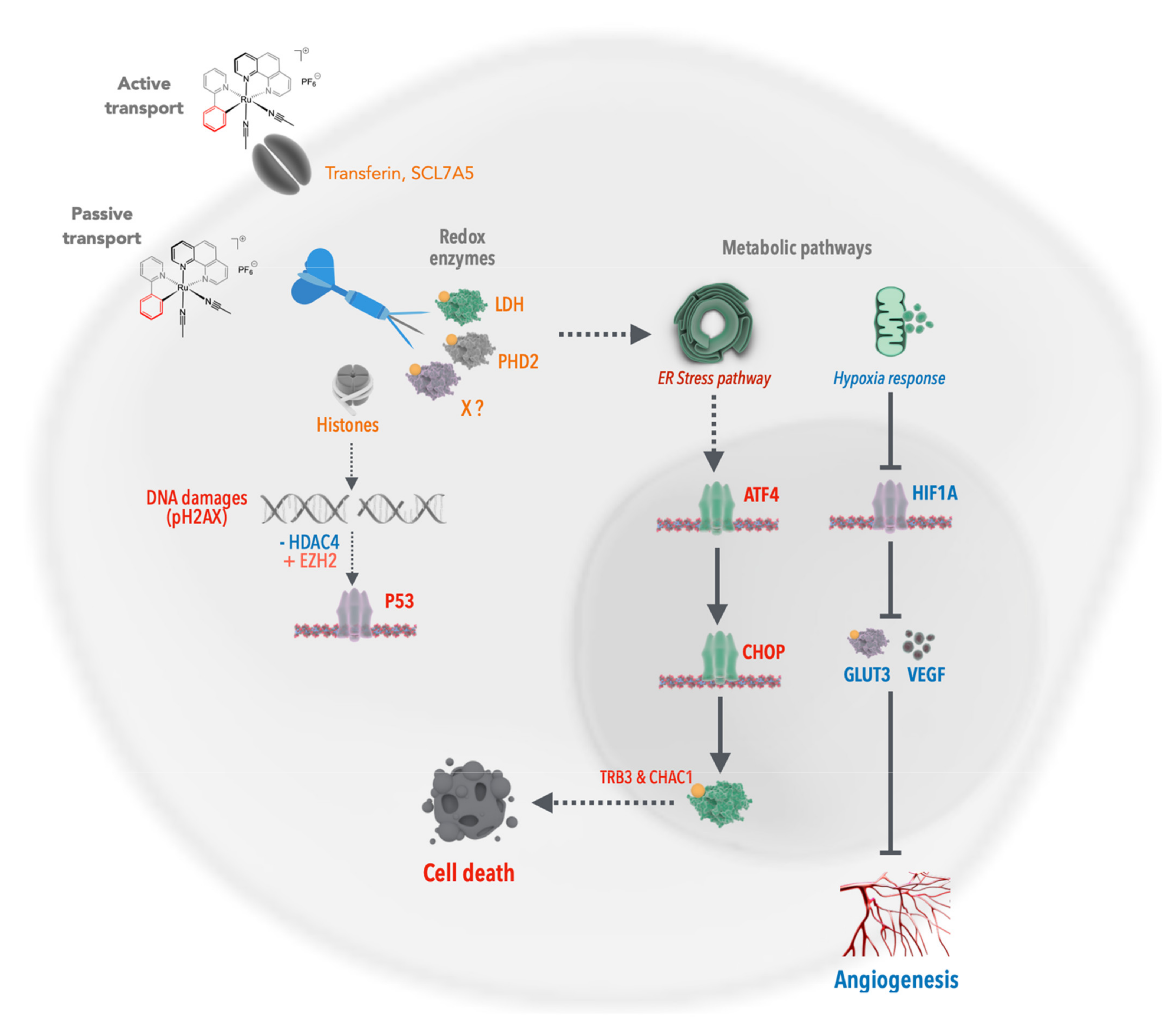 Molecules 26 05386 g010