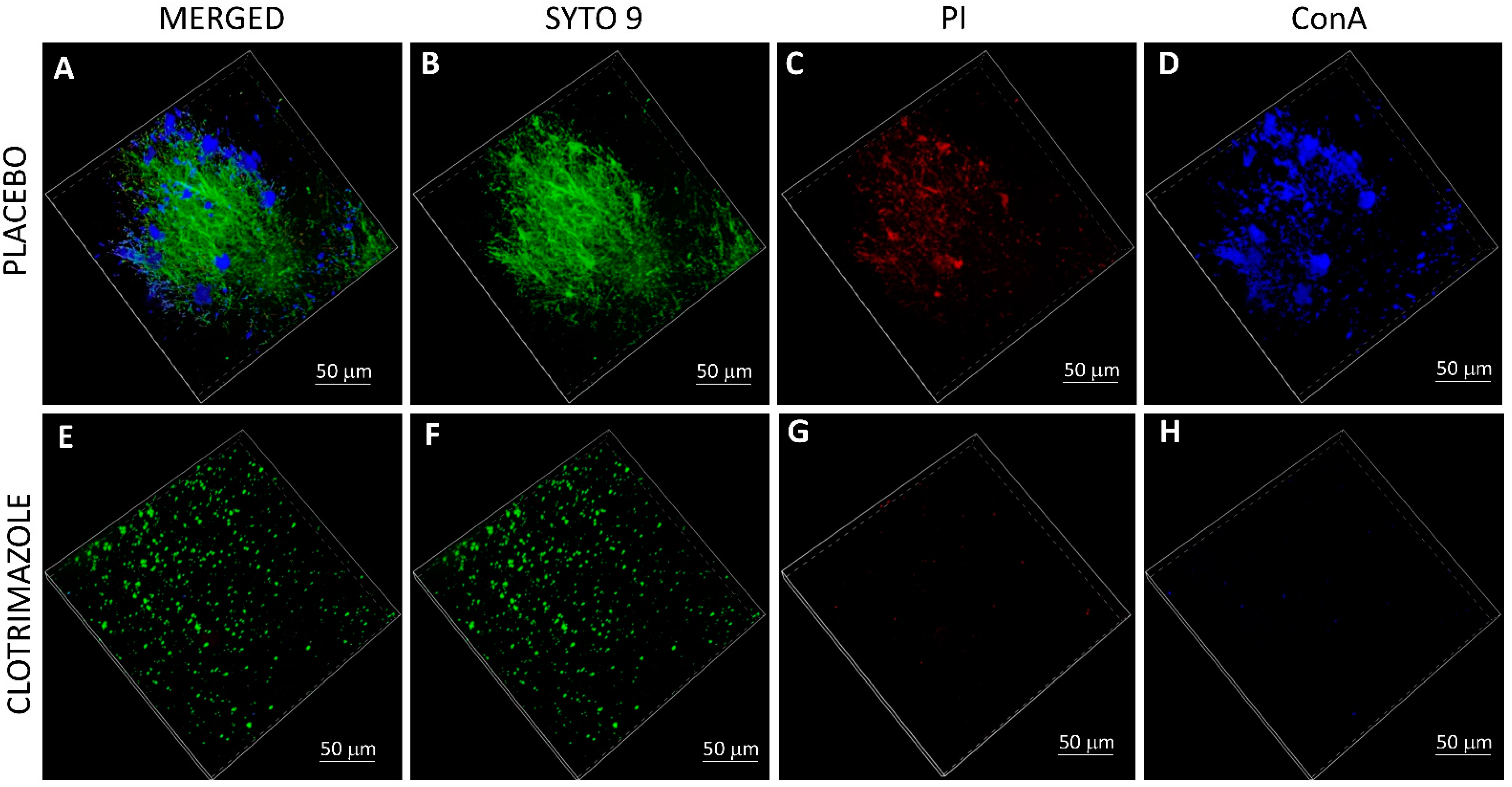 Molecules 26 05395 g006 550