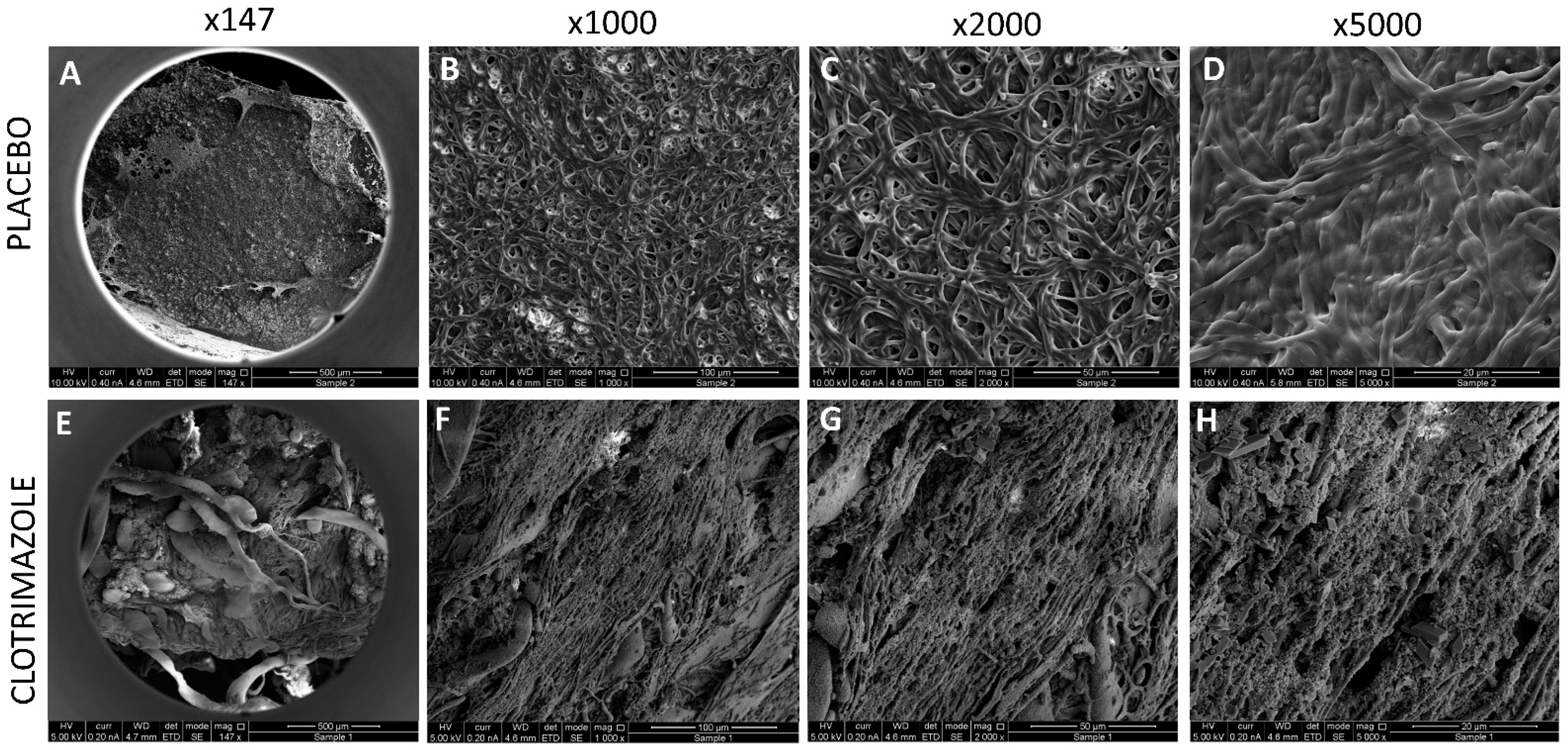 Molecules 26 05395 g008 550