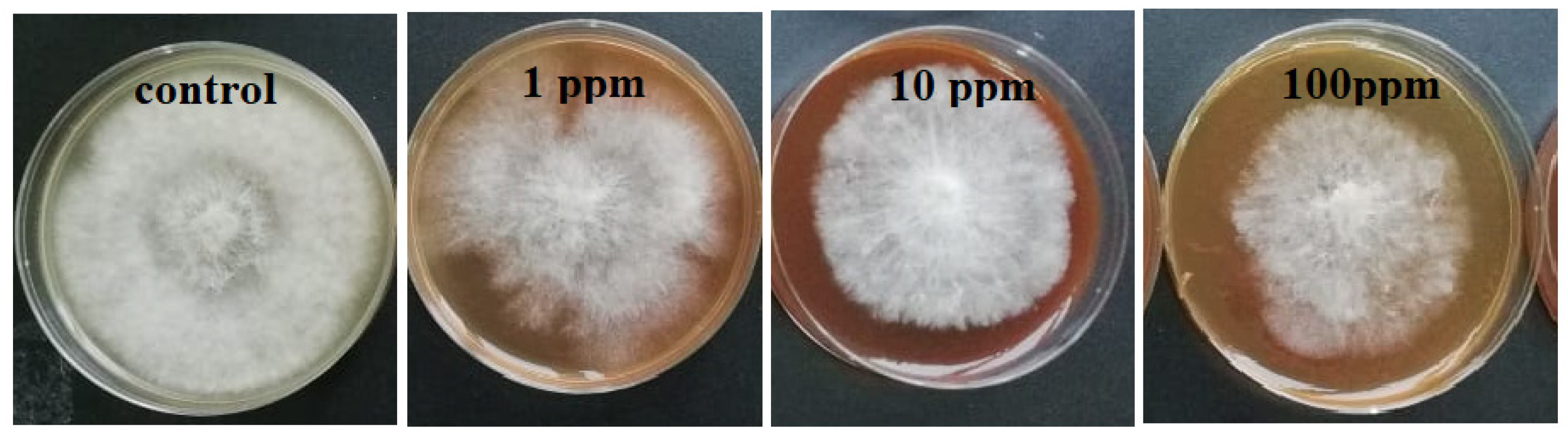 Molecules 26 05402 g002 550