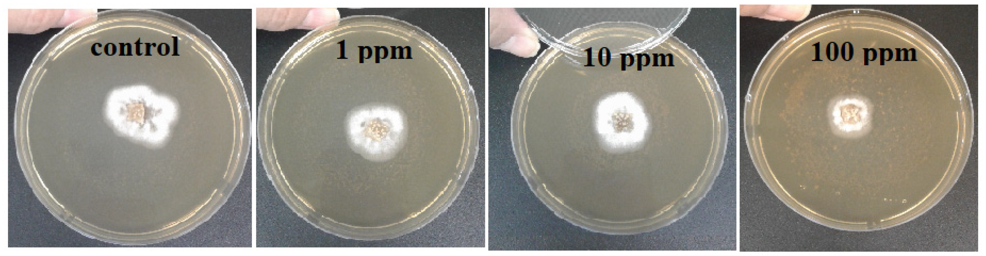 Molecules 26 05402 g003 550