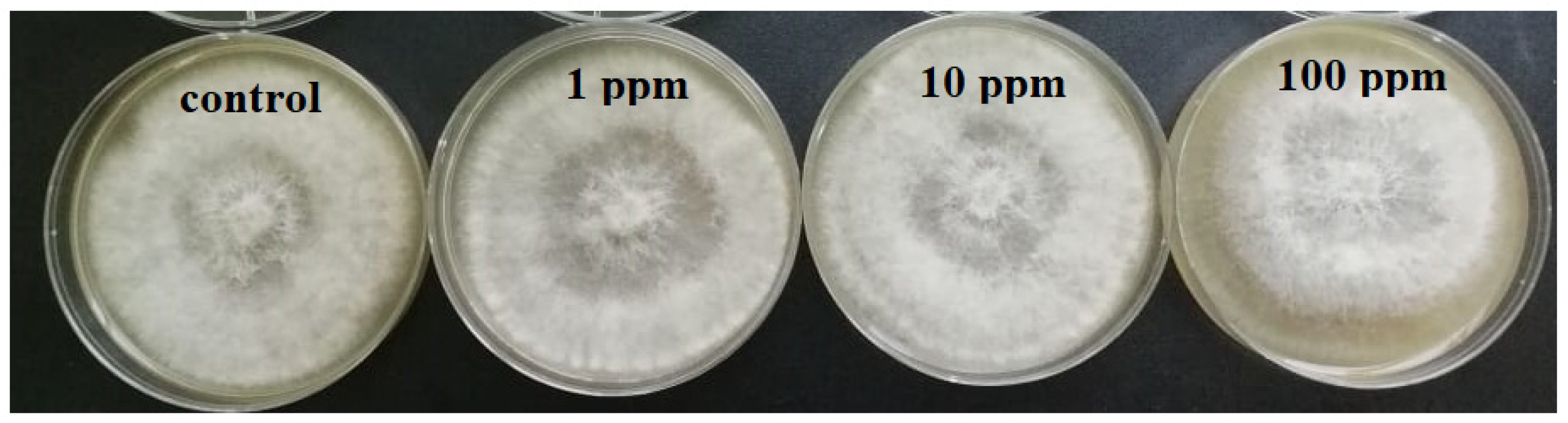 Molecules 26 05402 g006 550
