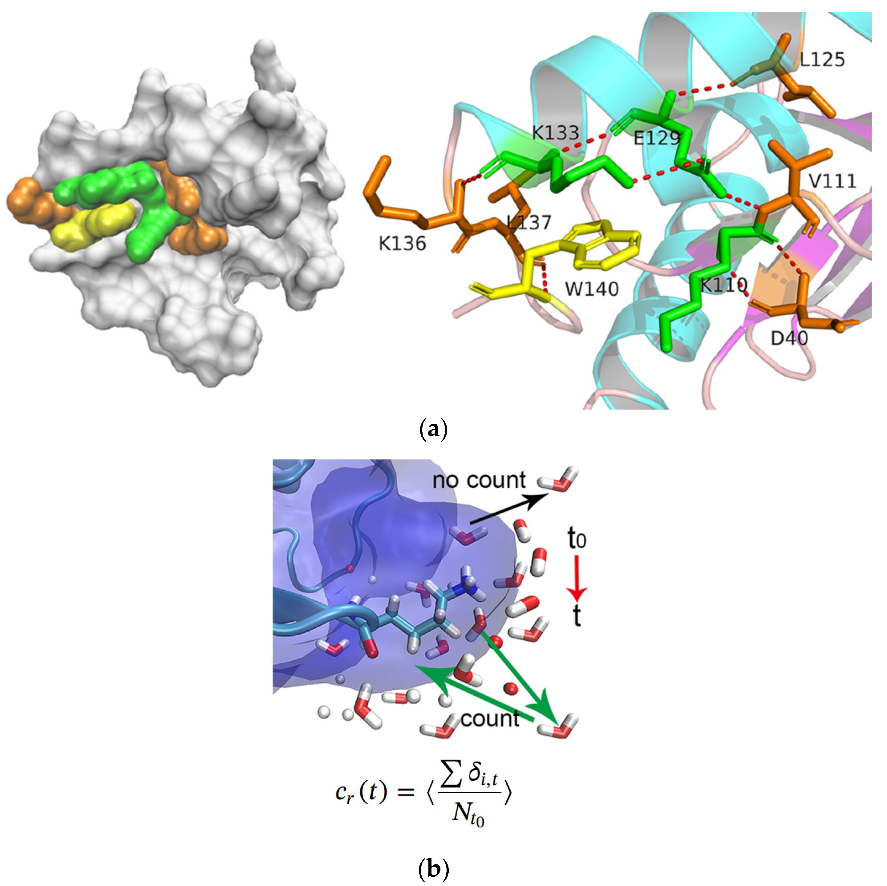 Molecules 26 05403 g006