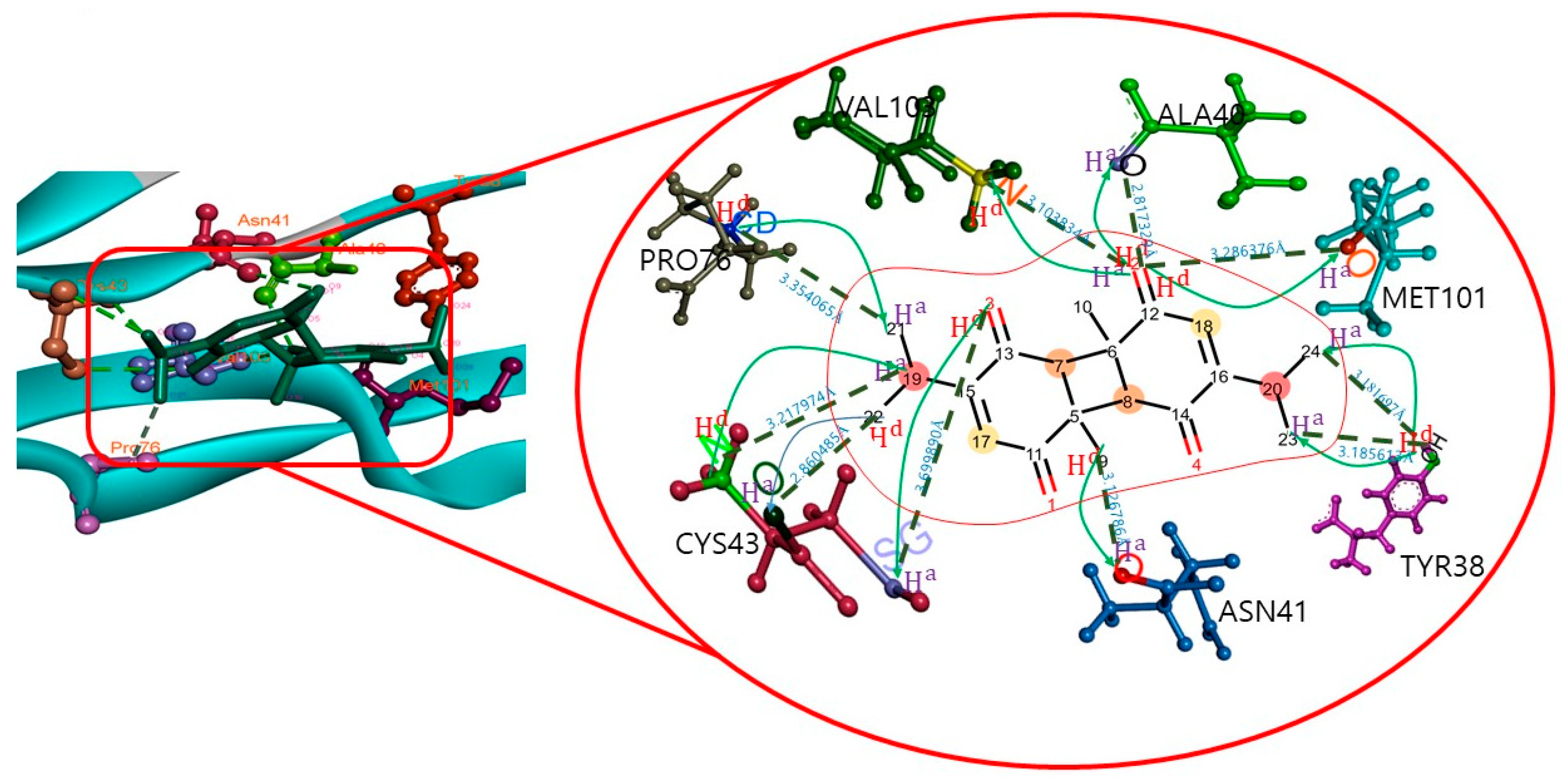 Molecules 26 05407 g001