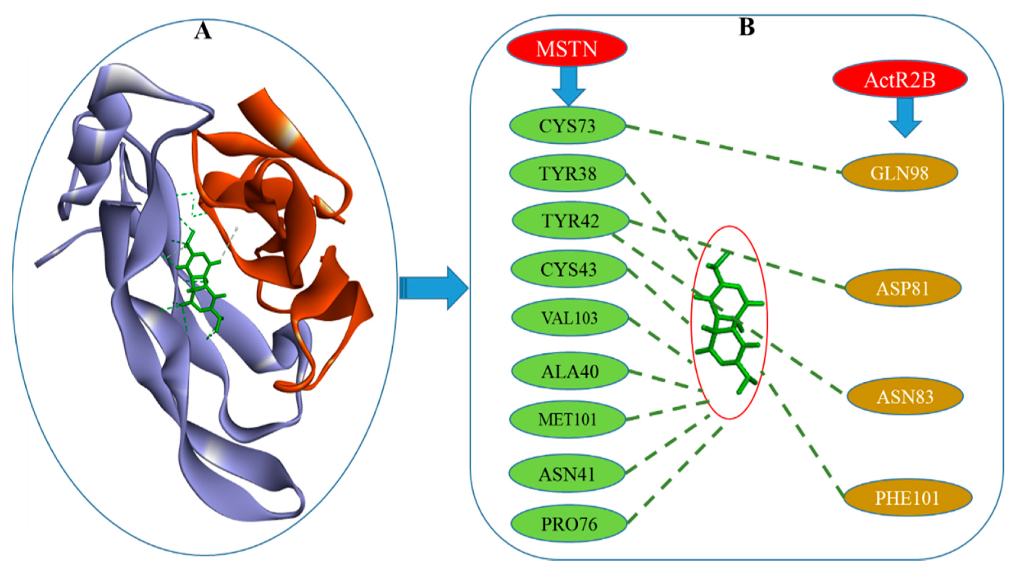 Molecules 26 05407 g006