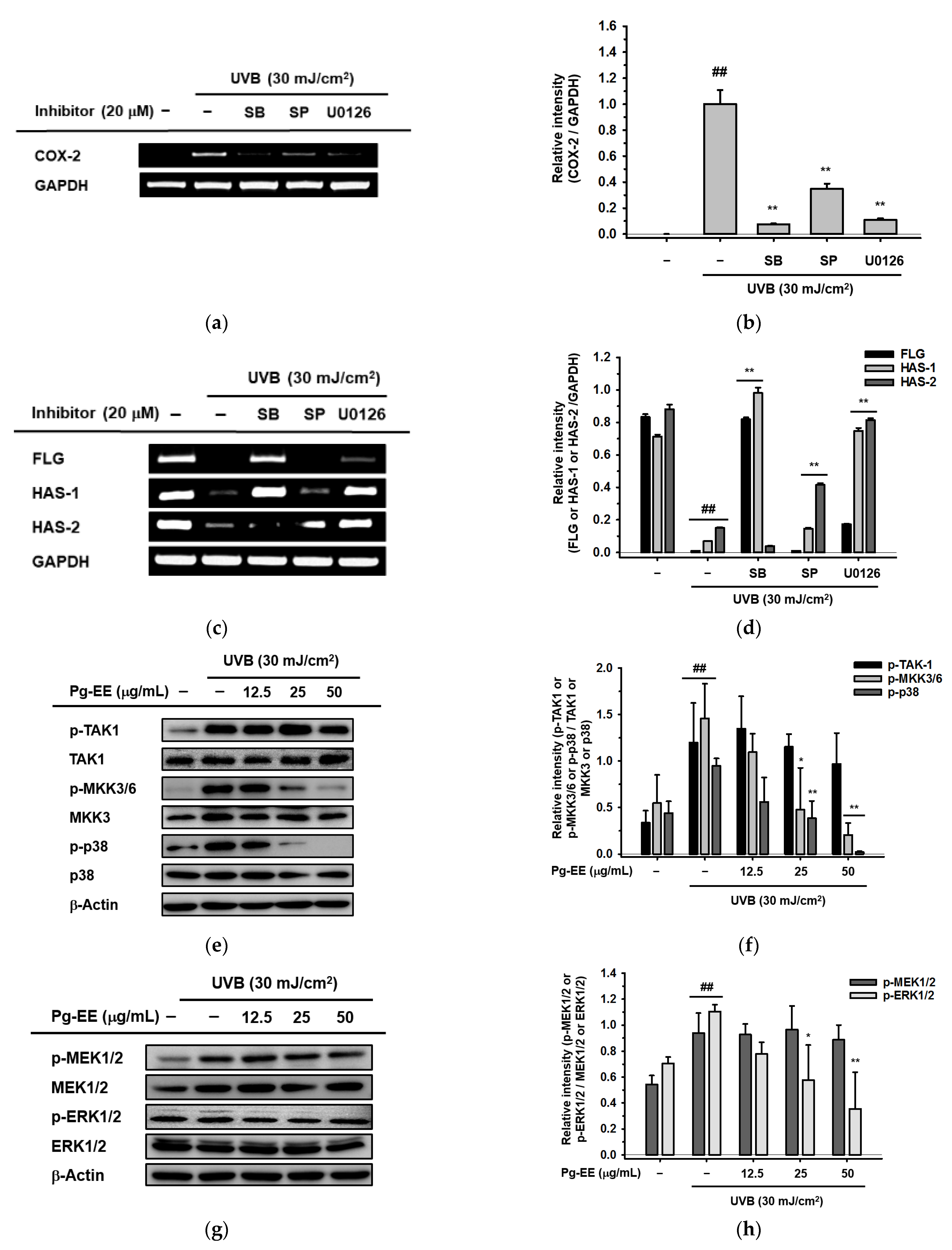 Molecules 26 05408 g004a