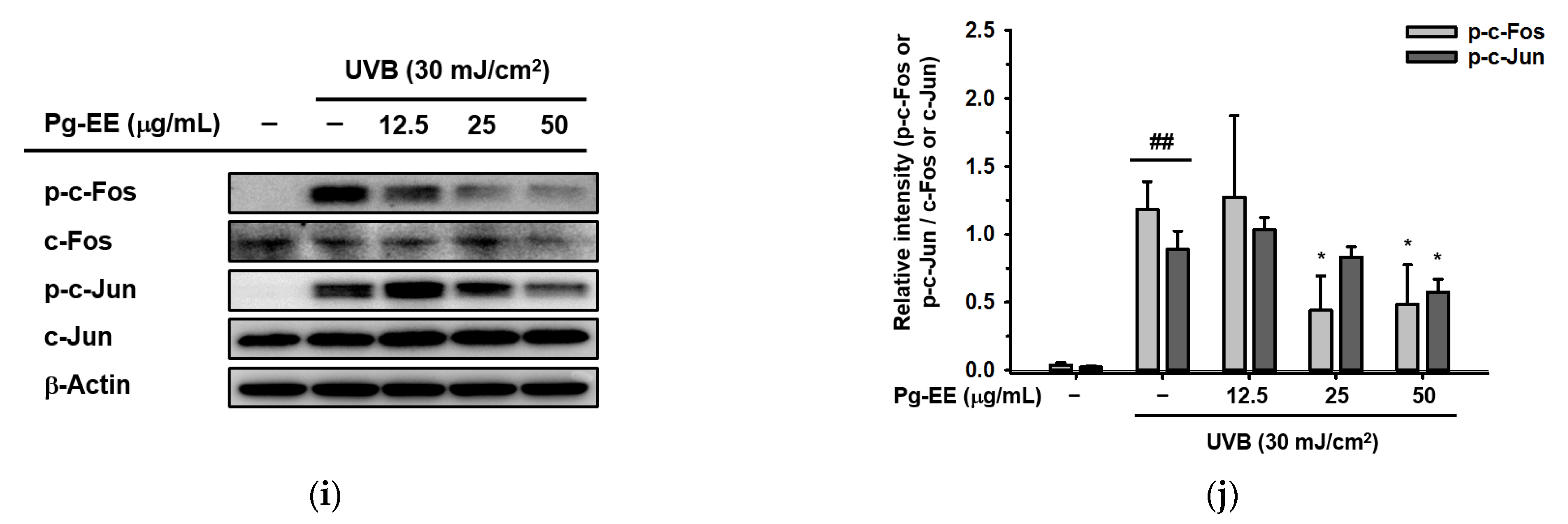 Molecules 26 05408 g004b