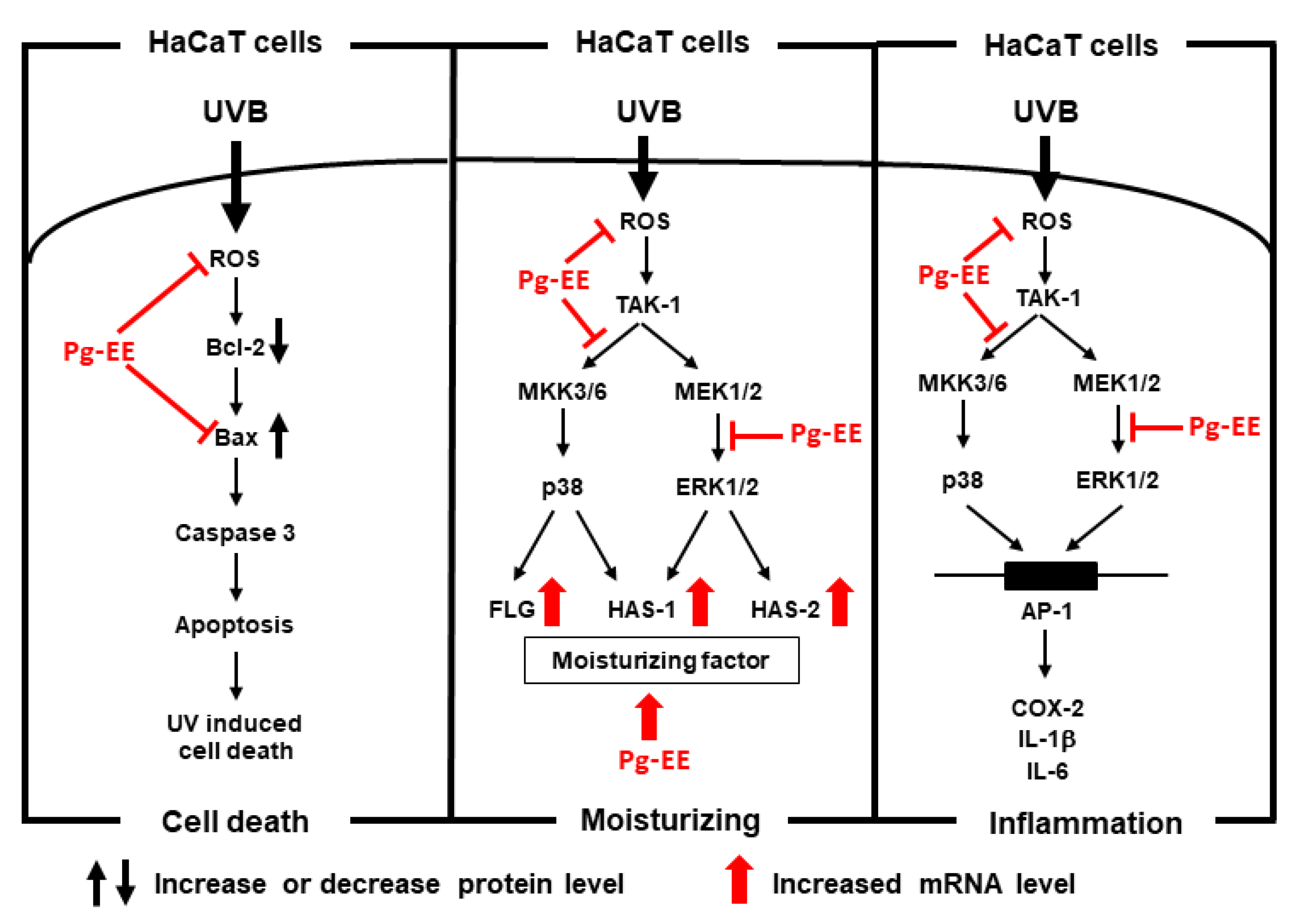 Molecules 26 05408 g005