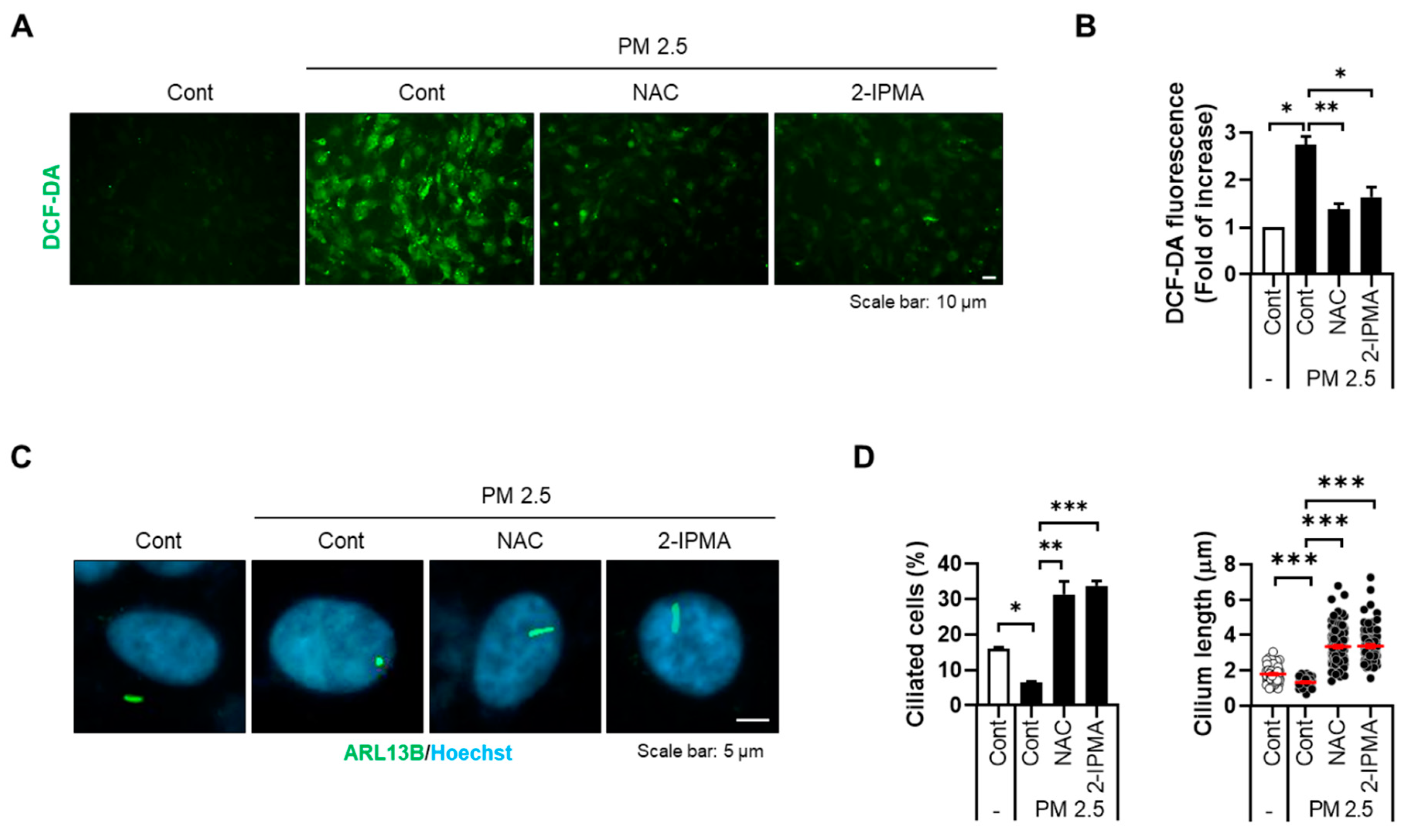 Molecules 26 05409 g003