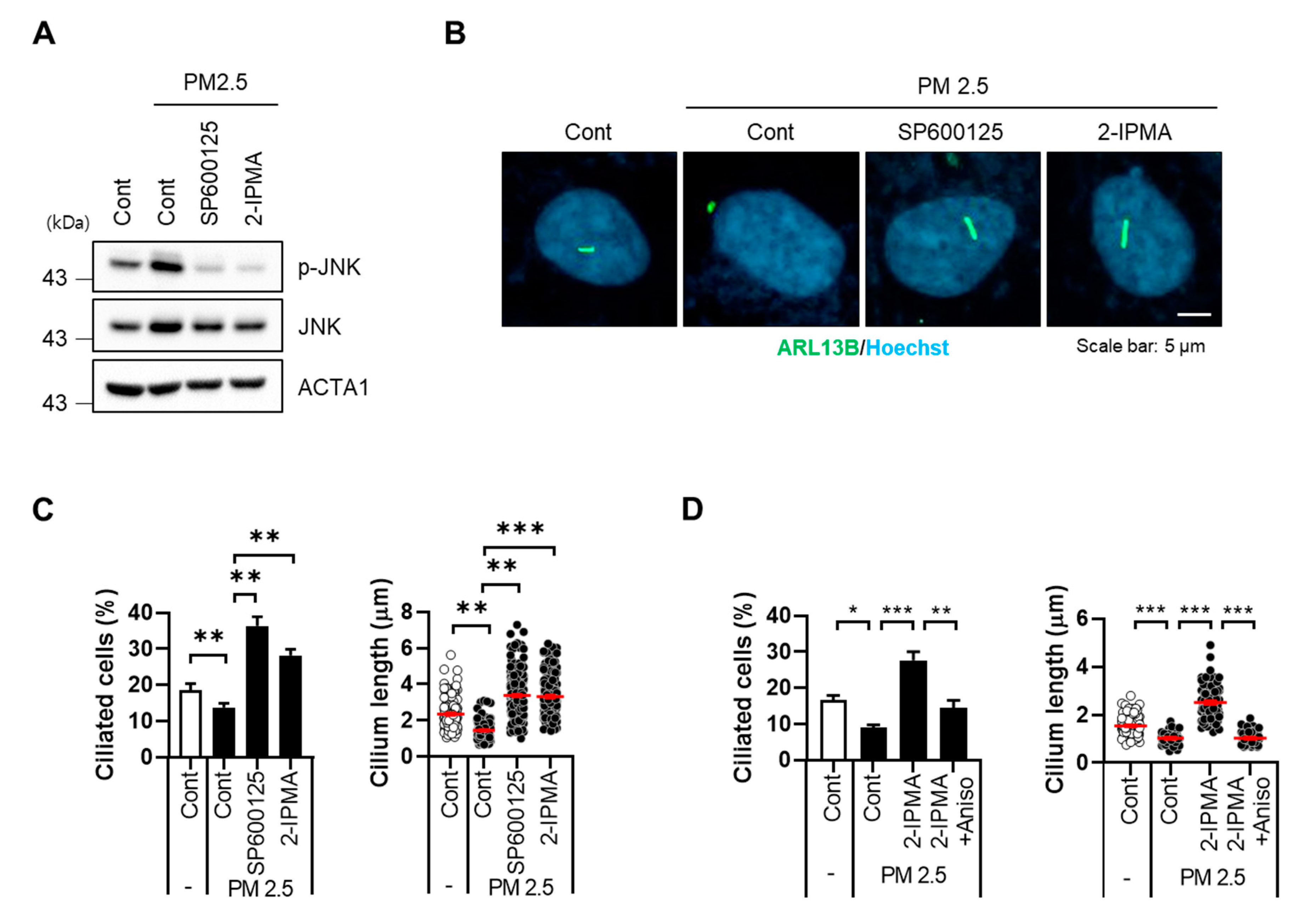 Molecules 26 05409 g004