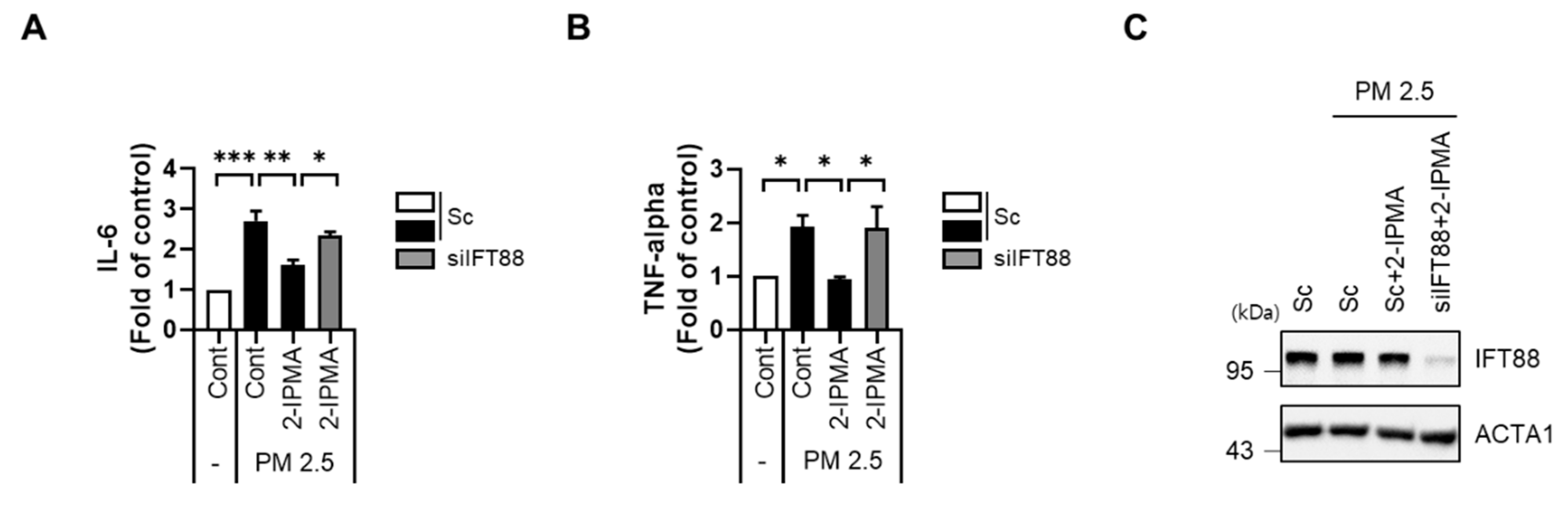Molecules 26 05409 g005