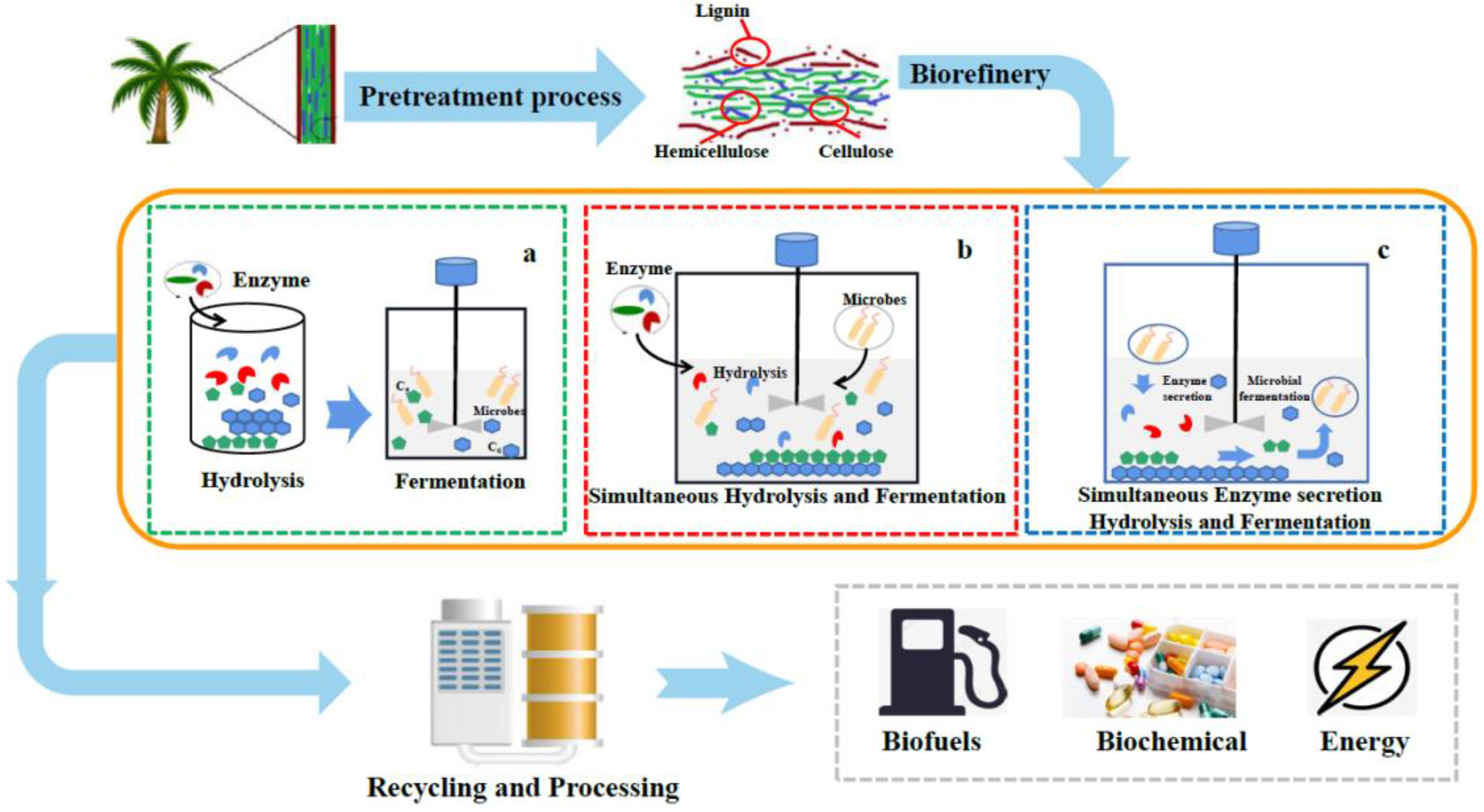 Molecules 26 05411 g002 Molecules 26 05411 g002