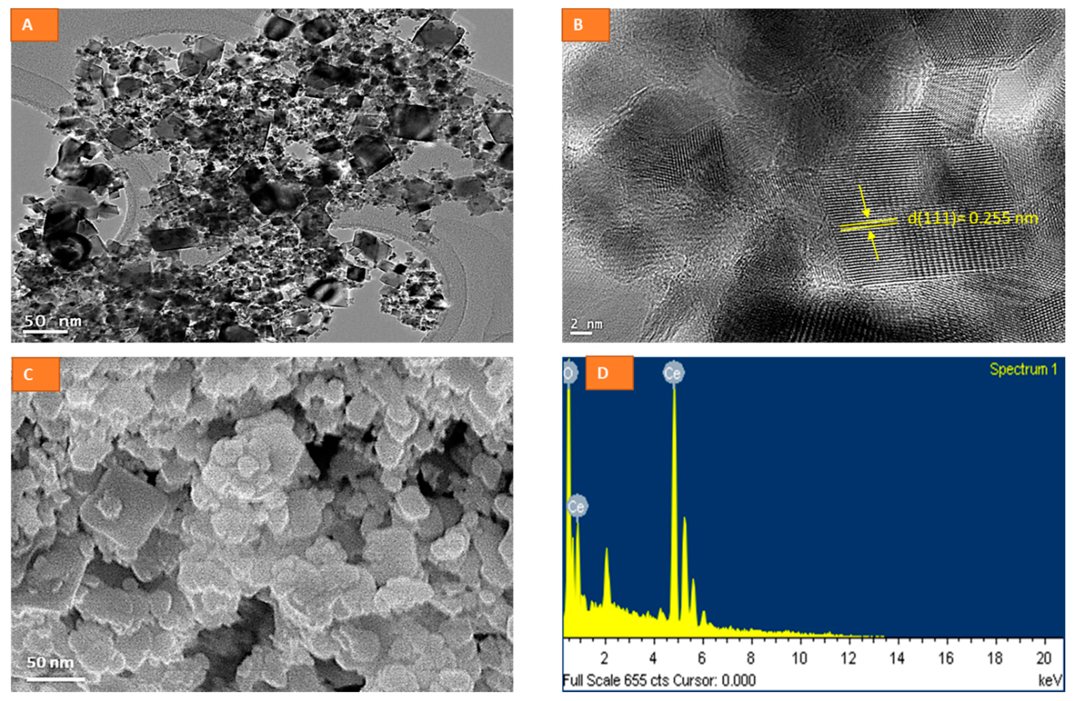 Molecules 26 05416 g001 Molecules 26 05416 g001