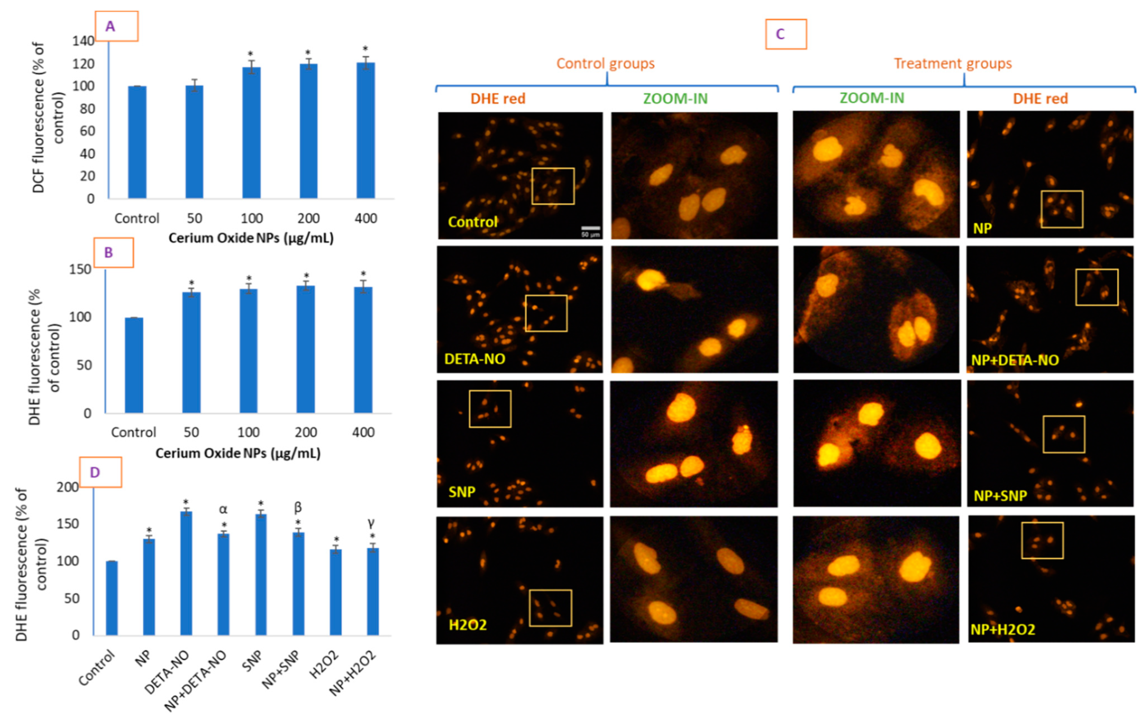 Molecules 26 05416 g004 Molecules 26 05416 g004