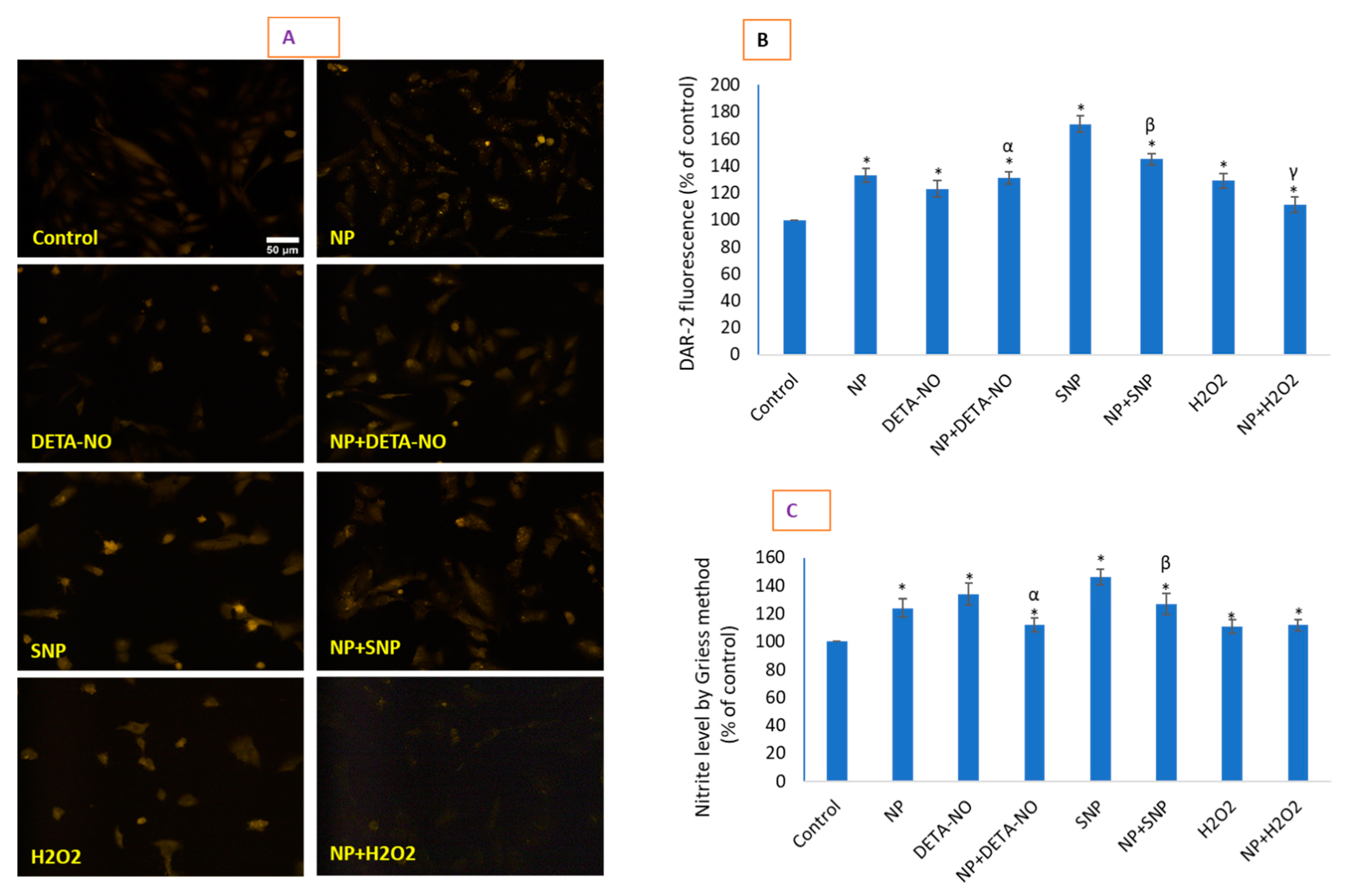 Molecules 26 05416 g005 Molecules 26 05416 g005