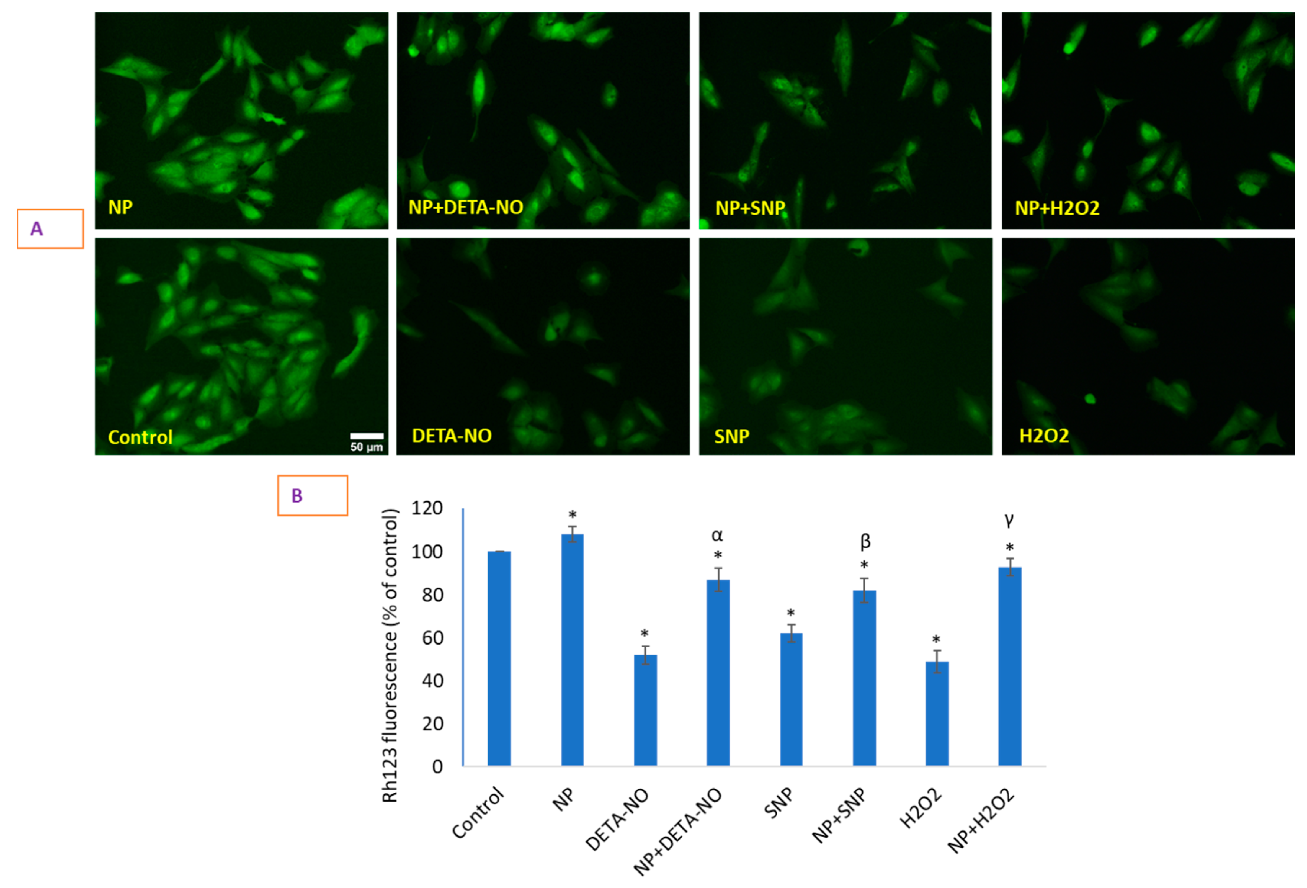 Molecules 26 05416 g006 Molecules 26 05416 g006